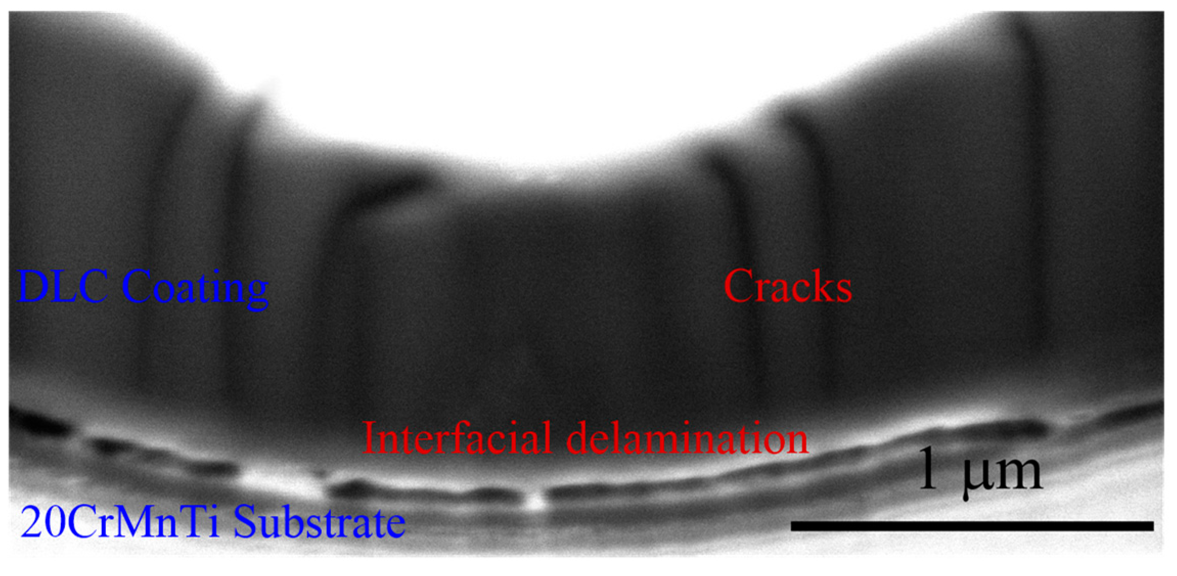 Coatings 09 00642 g001