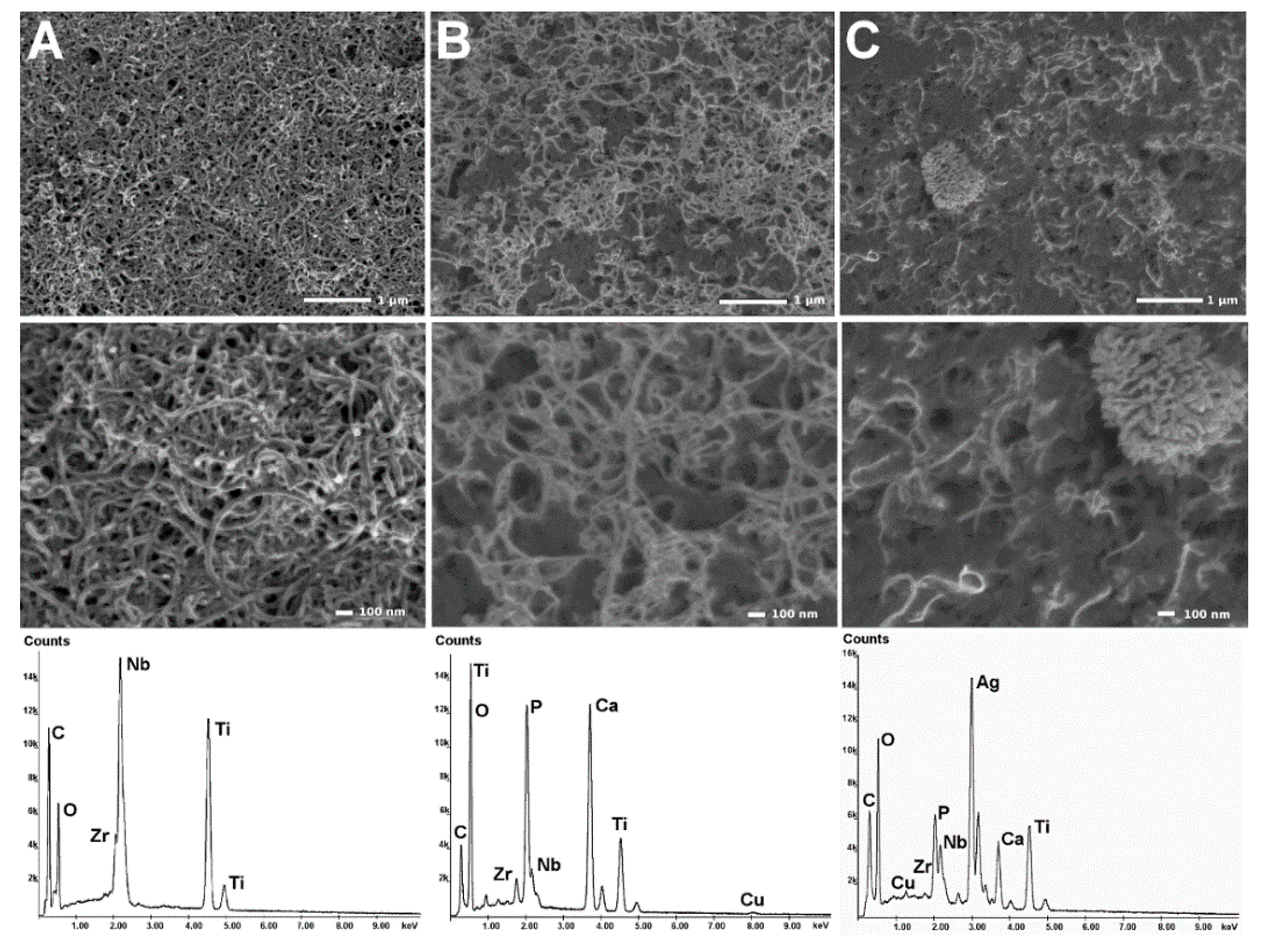 Coatings 09 00643 g002