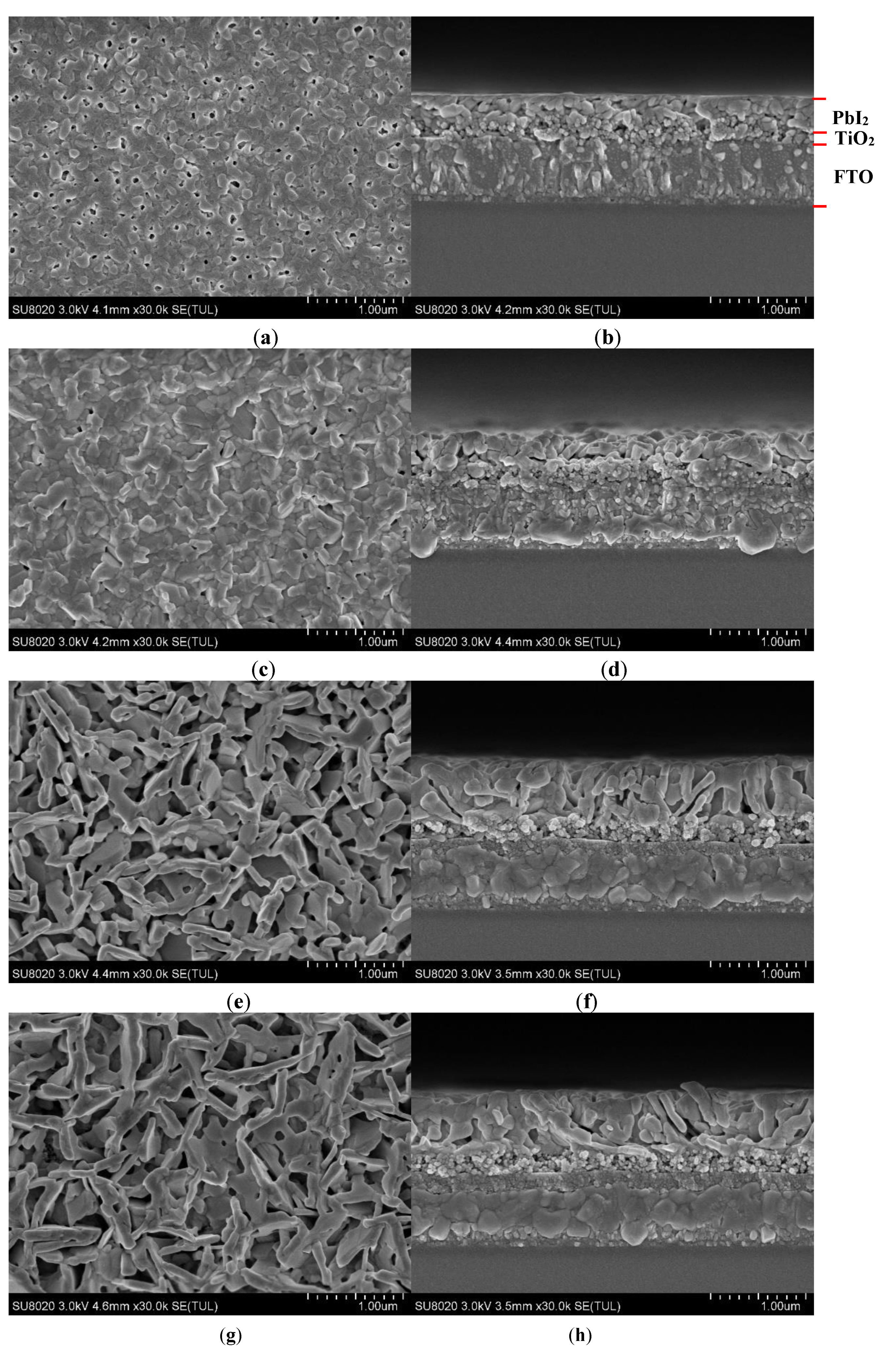 Coatings 09 00647 g001