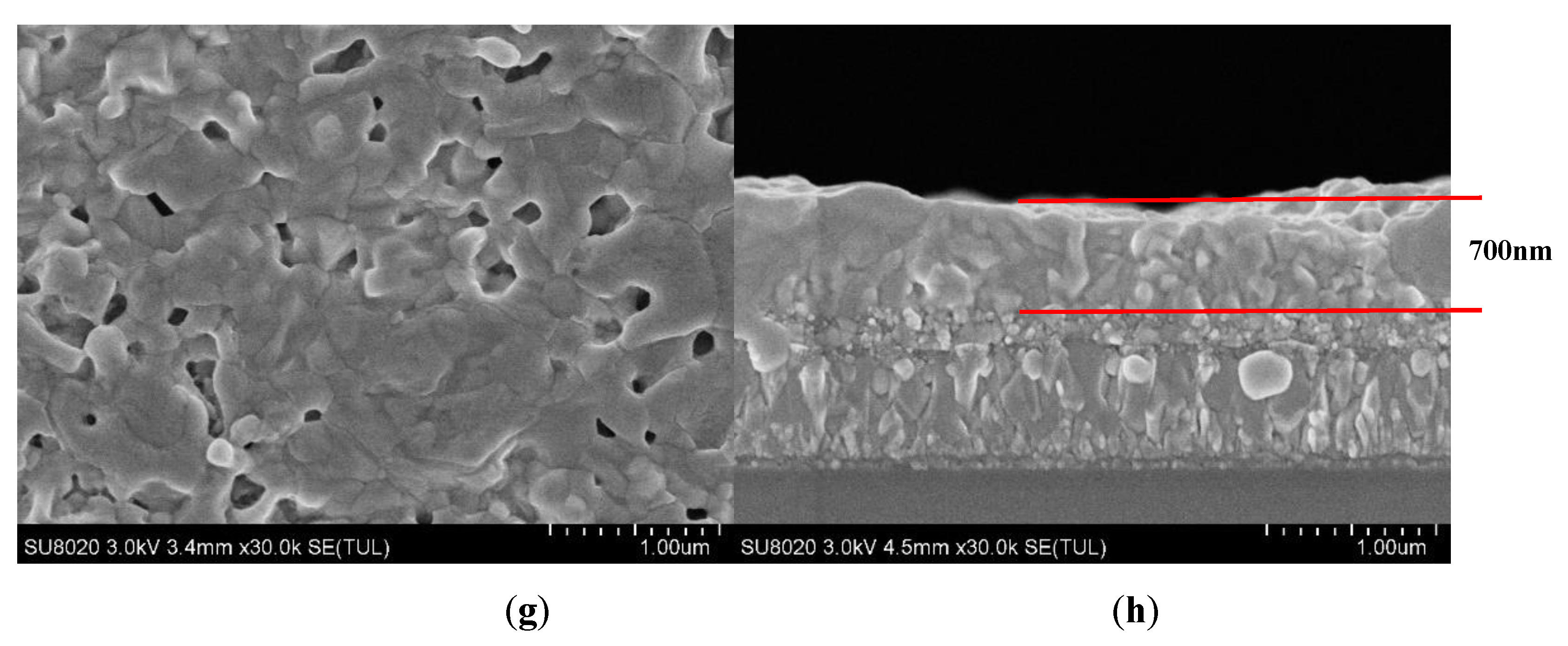 Coatings 09 00647 g002b