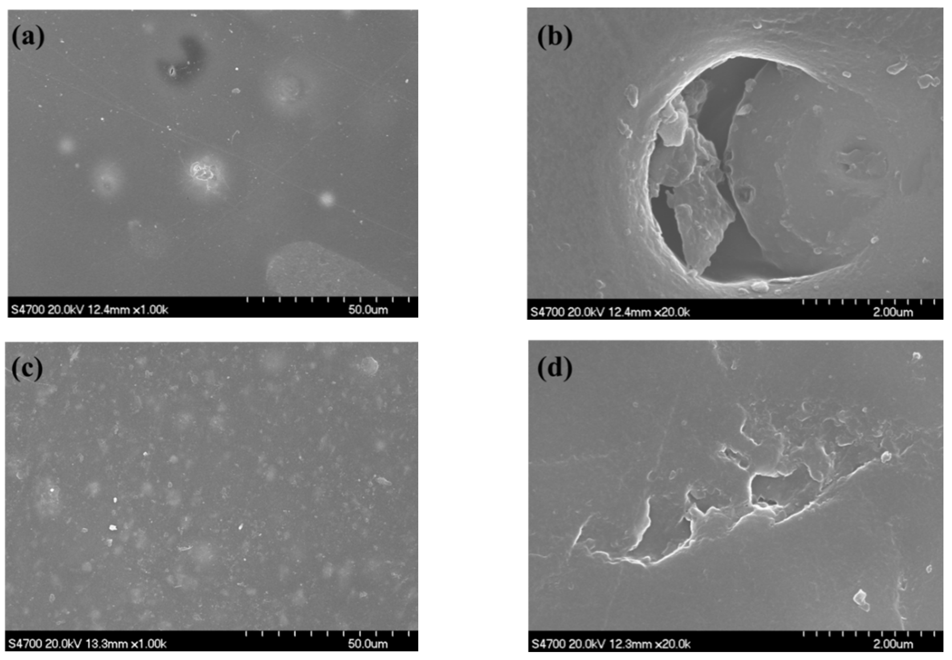 Coatings 09 00649 g008