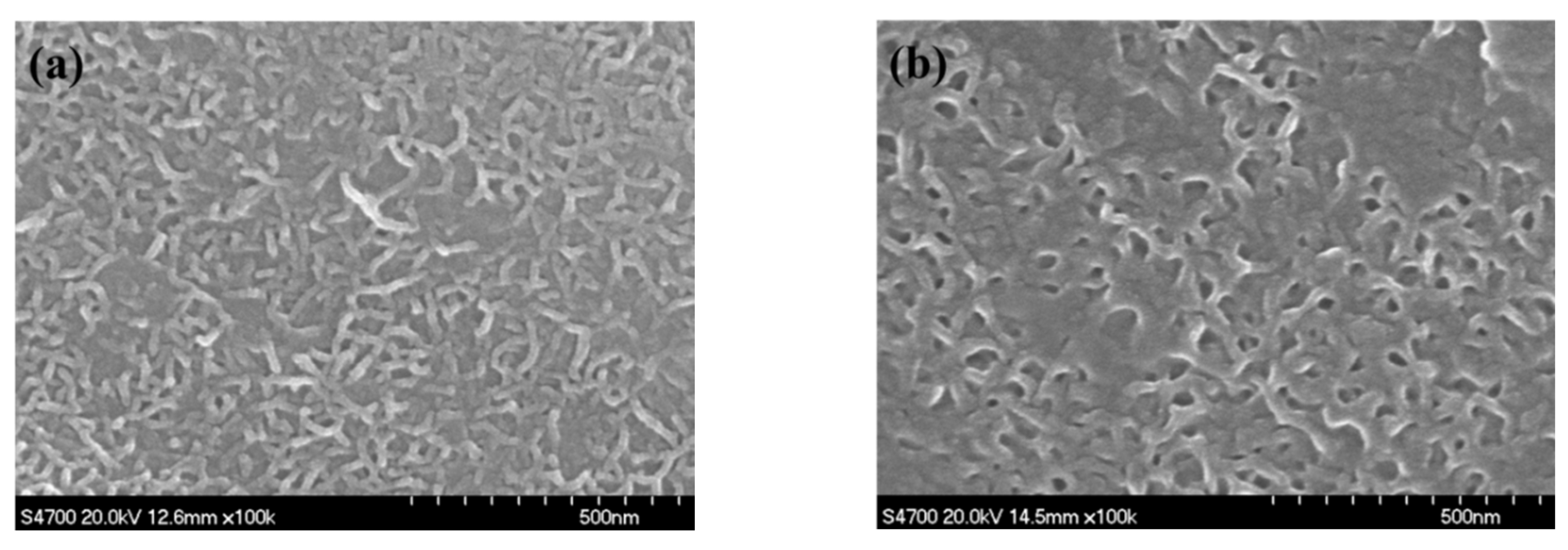 Coatings 09 00649 g009