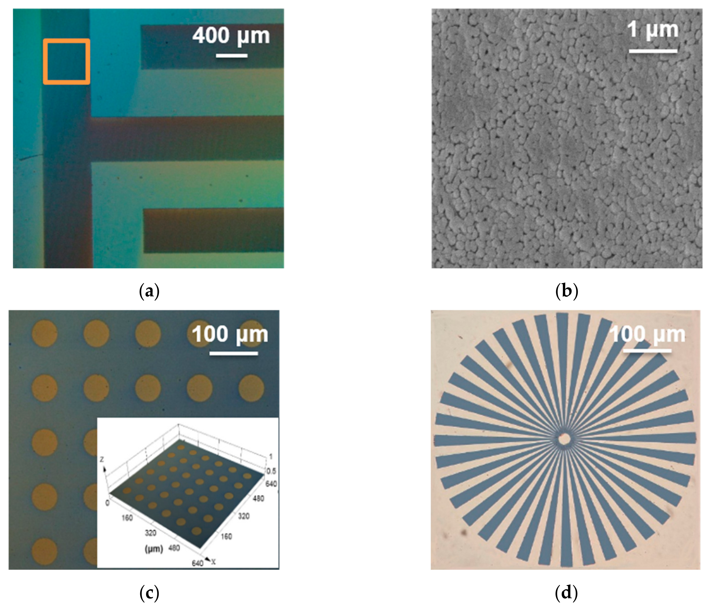 Coatings 09 00650 g005