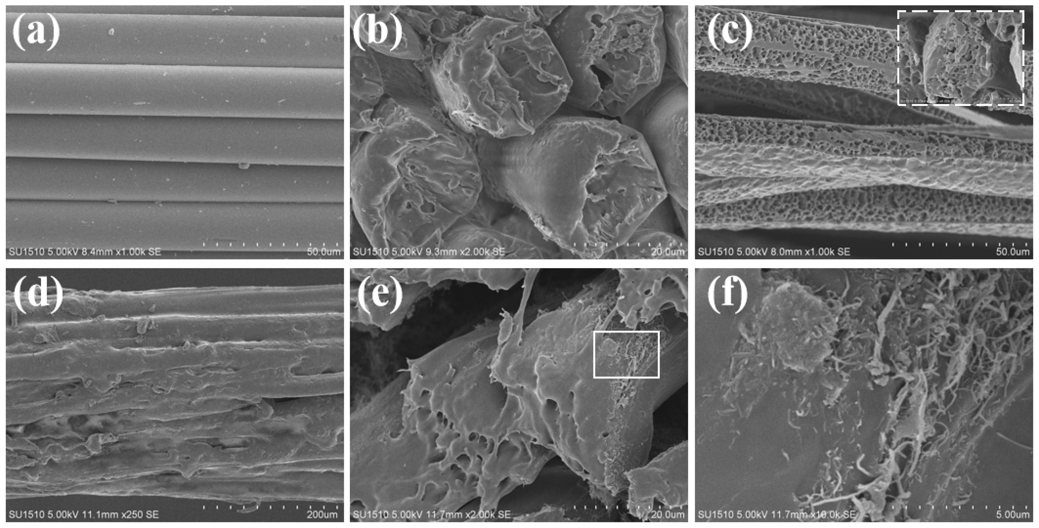 Coatings 09 00651 g002 Coatings 09 00651 g002