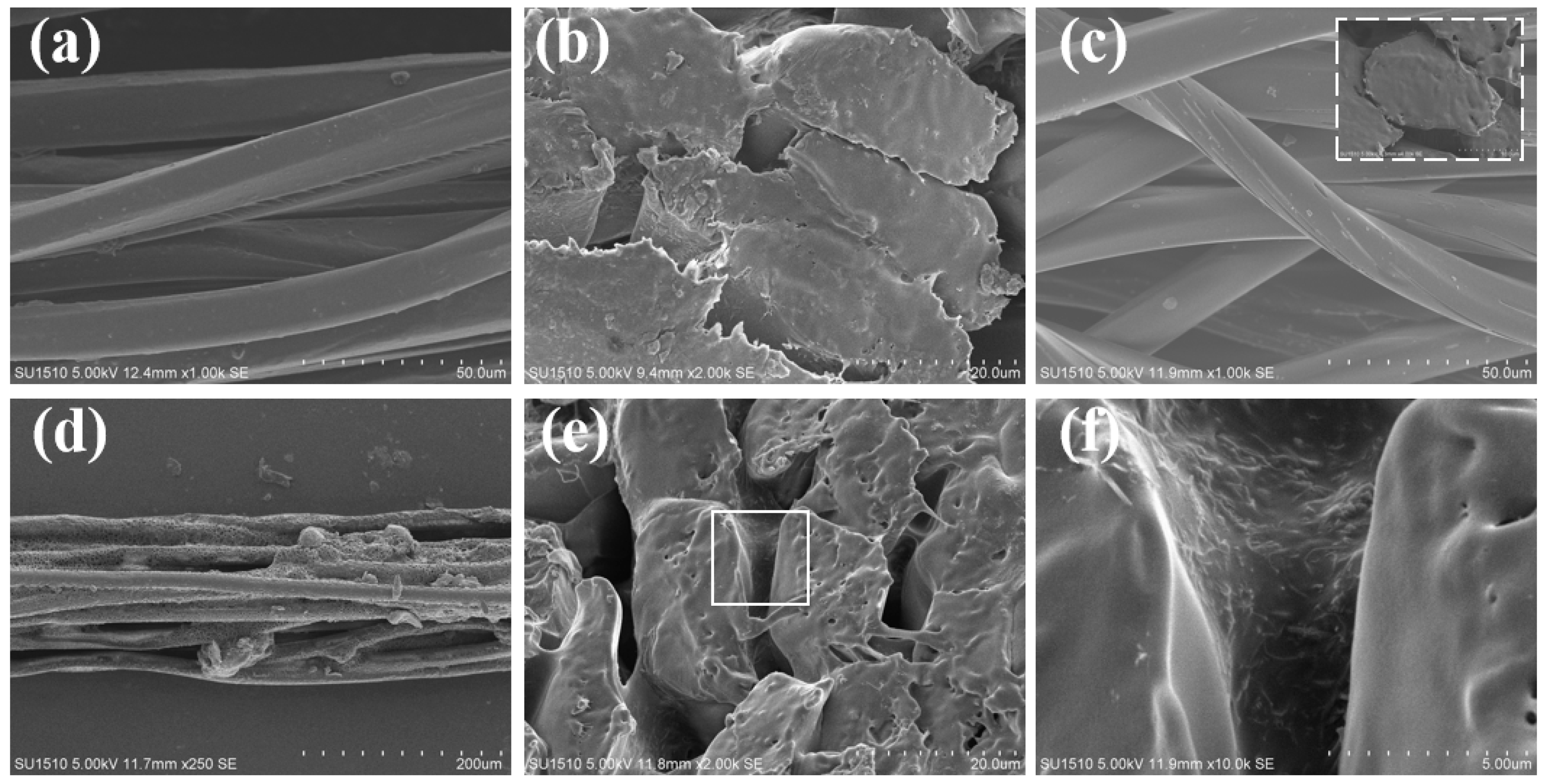 Coatings 09 00651 g003 Coatings 09 00651 g003