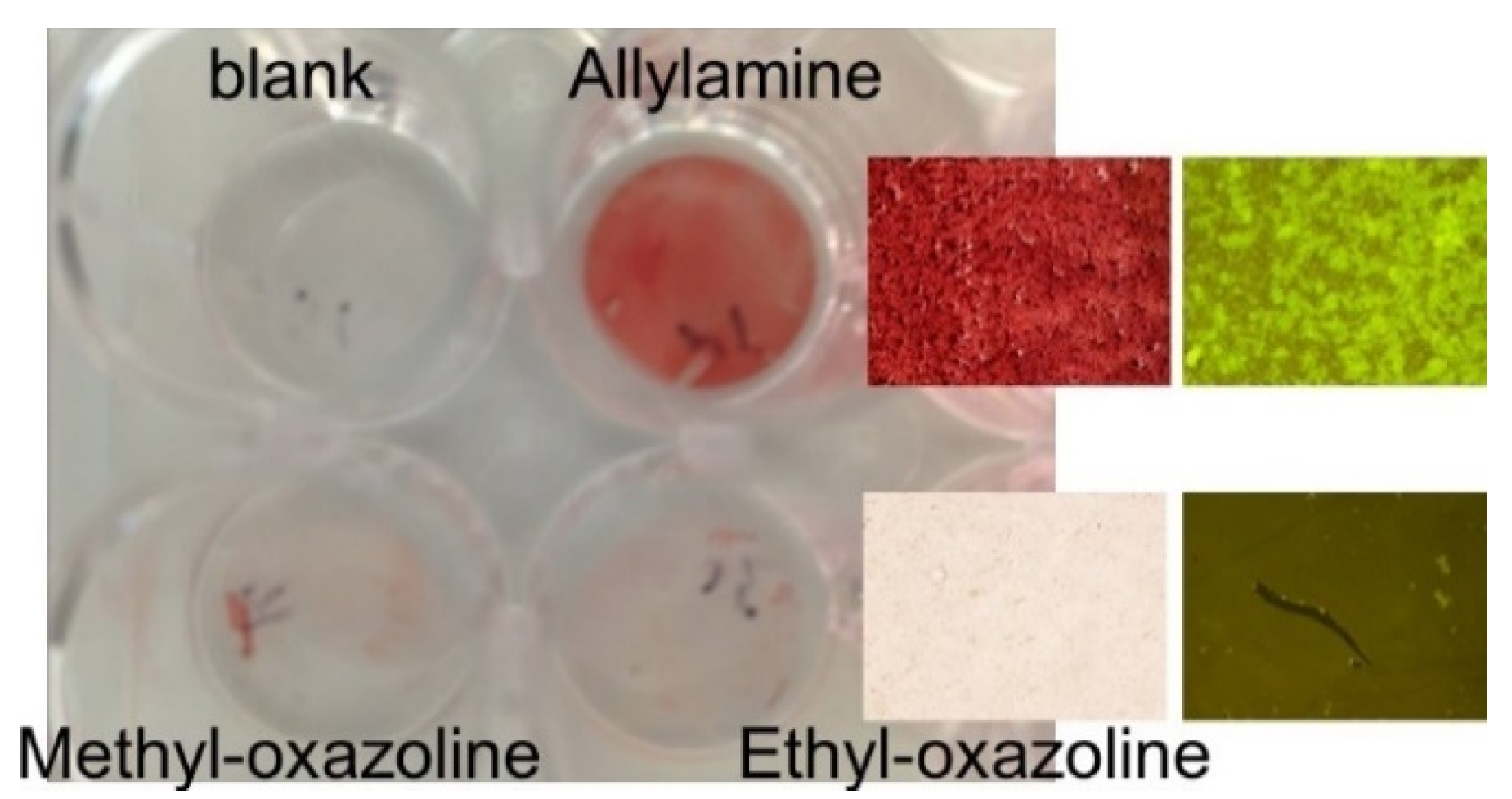 Coatings 09 00654 g002 Coatings 09 00654 g002