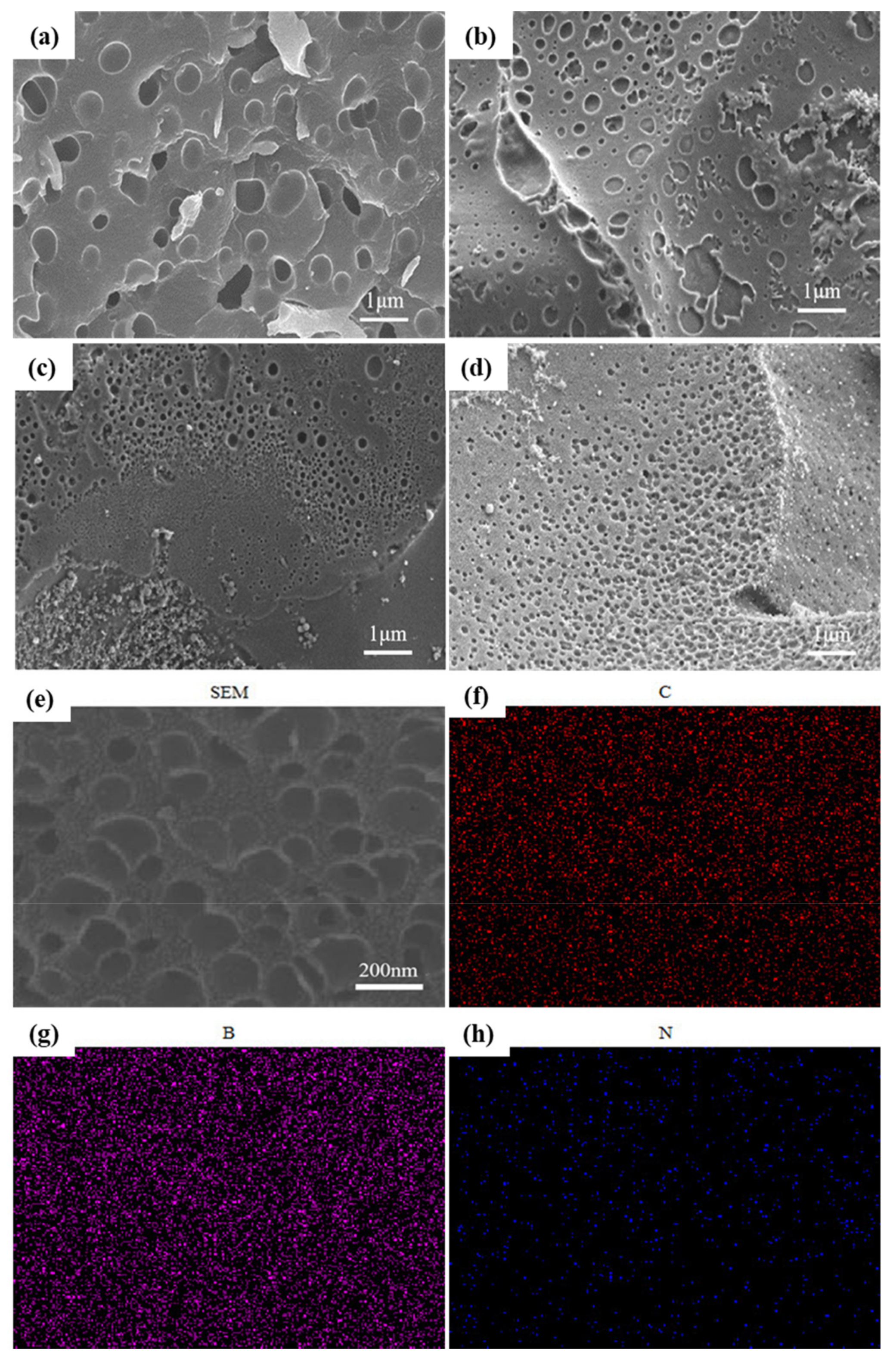 Coatings 09 00657 g002