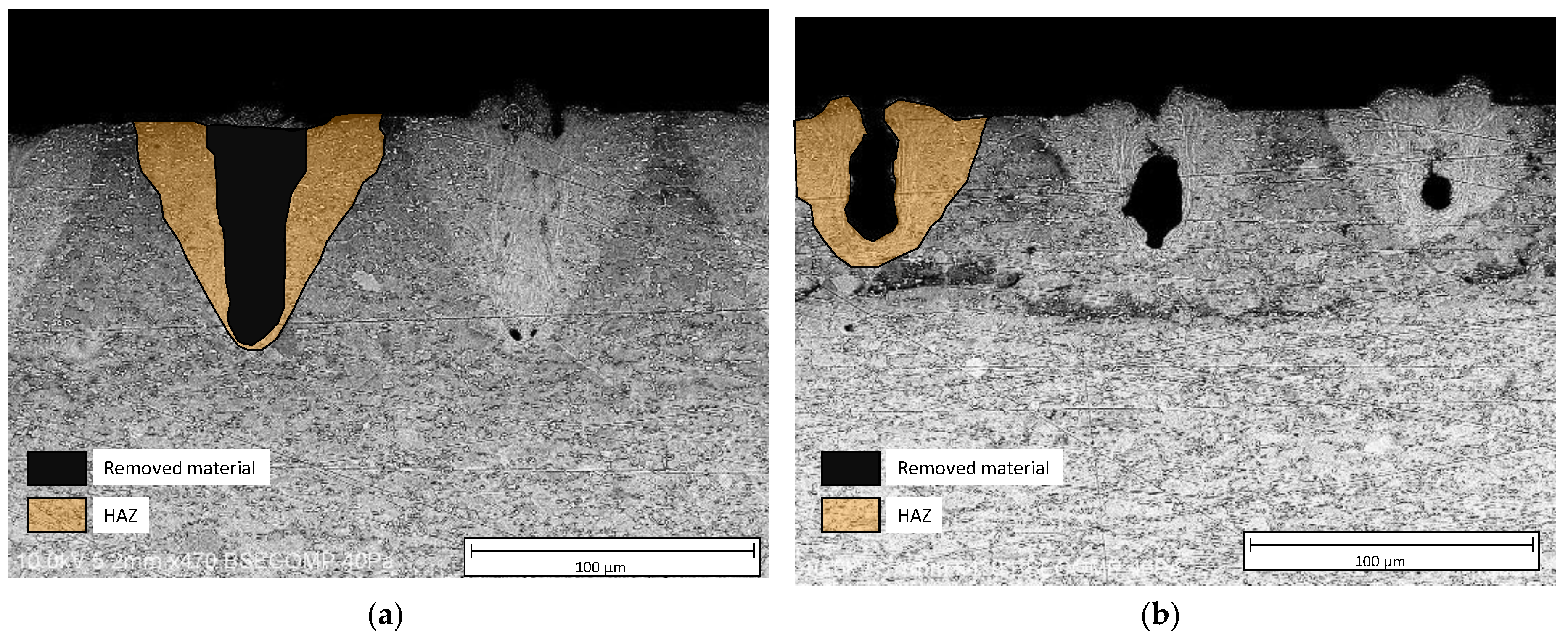 Coatings 09 00658 g003