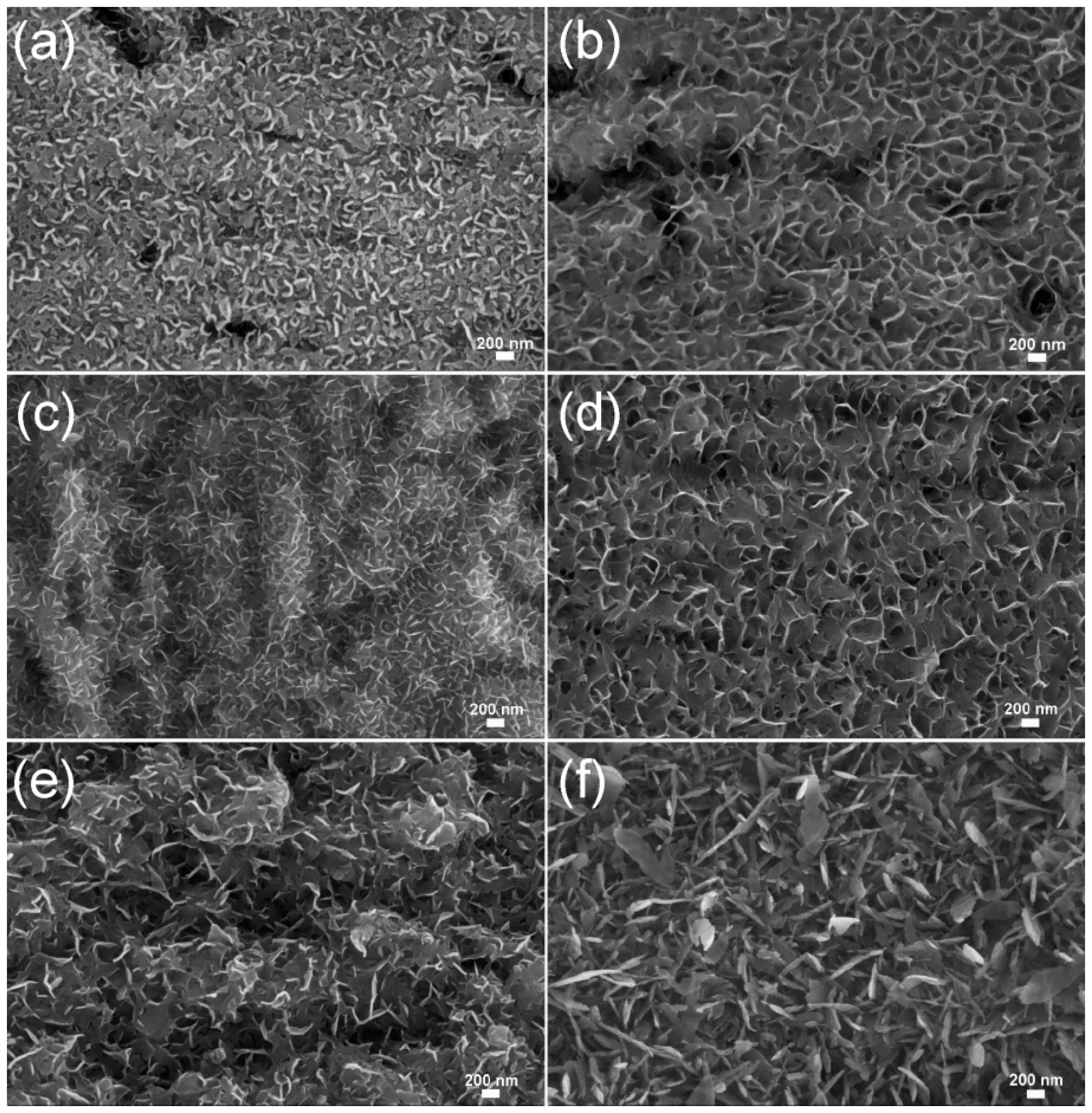 Coatings 09 00659 g002 550