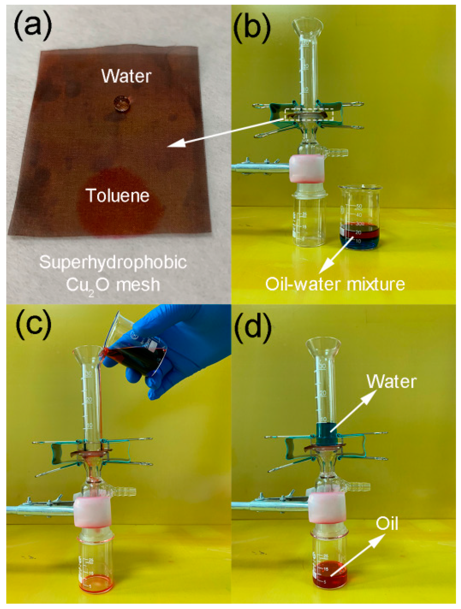 Coatings 09 00659 g005 550