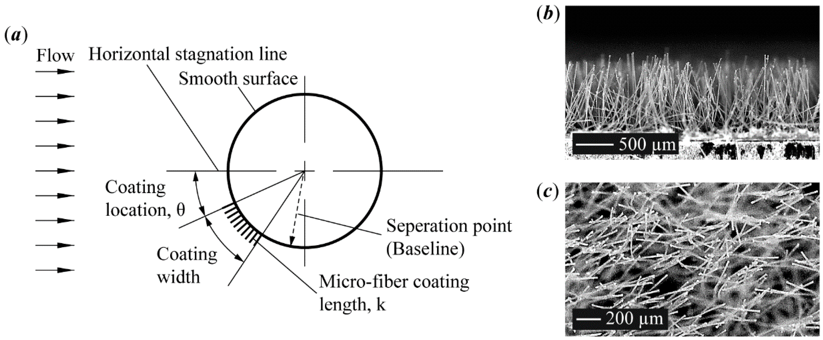 Coatings 09 00664 g001 Coatings 09 00664 g001