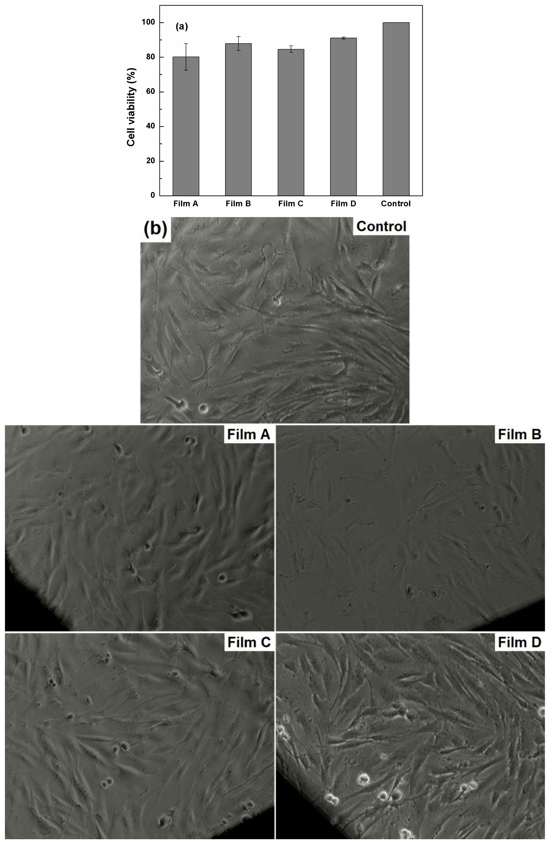 Coatings 09 00671 g007