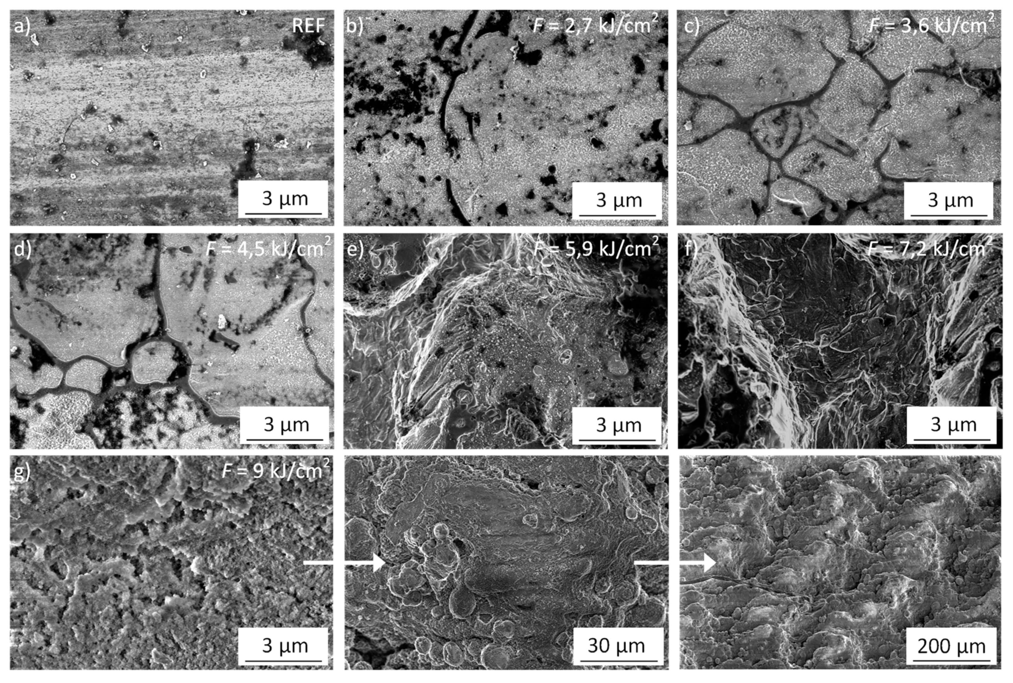Coatings 09 00672 g001 550