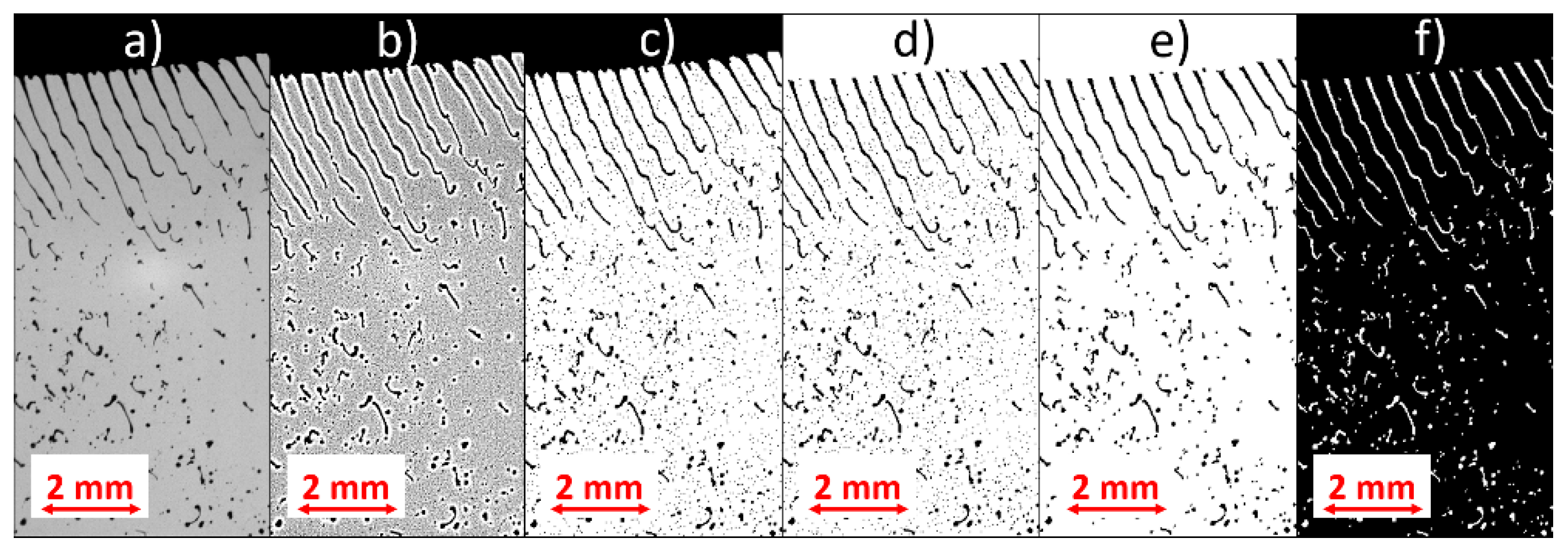 Coatings 09 00674 g003