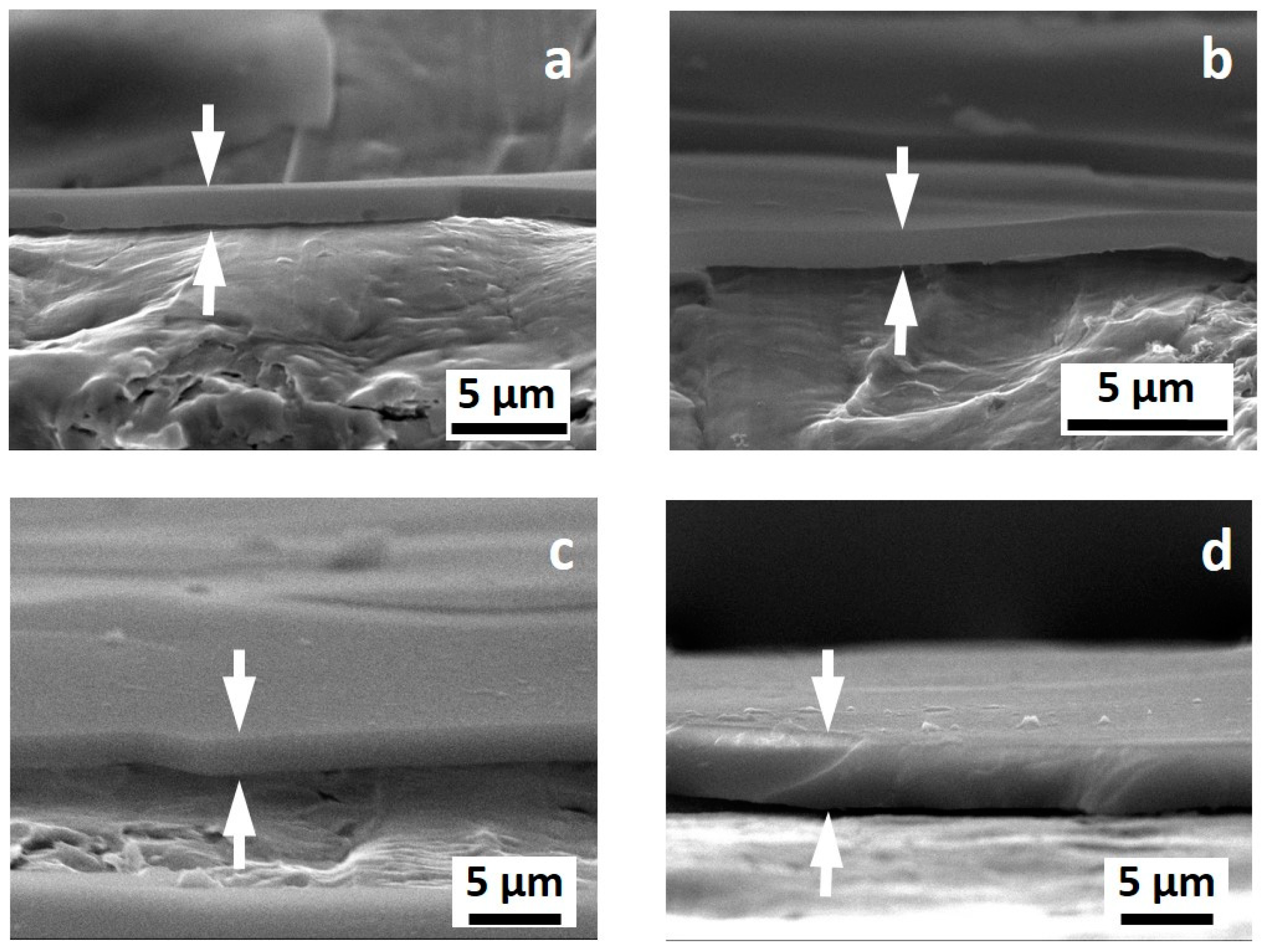 Coatings 09 00680 g002