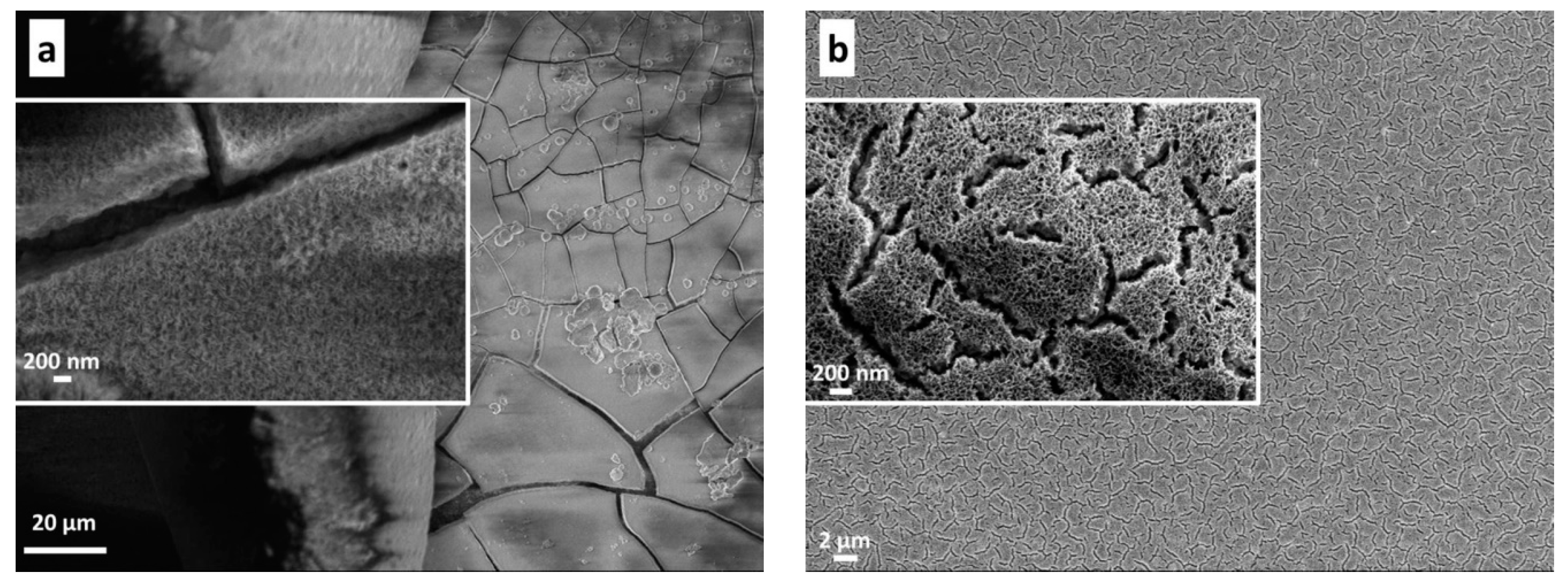 Coatings 09 00681 g002 Coatings 09 00681 g002