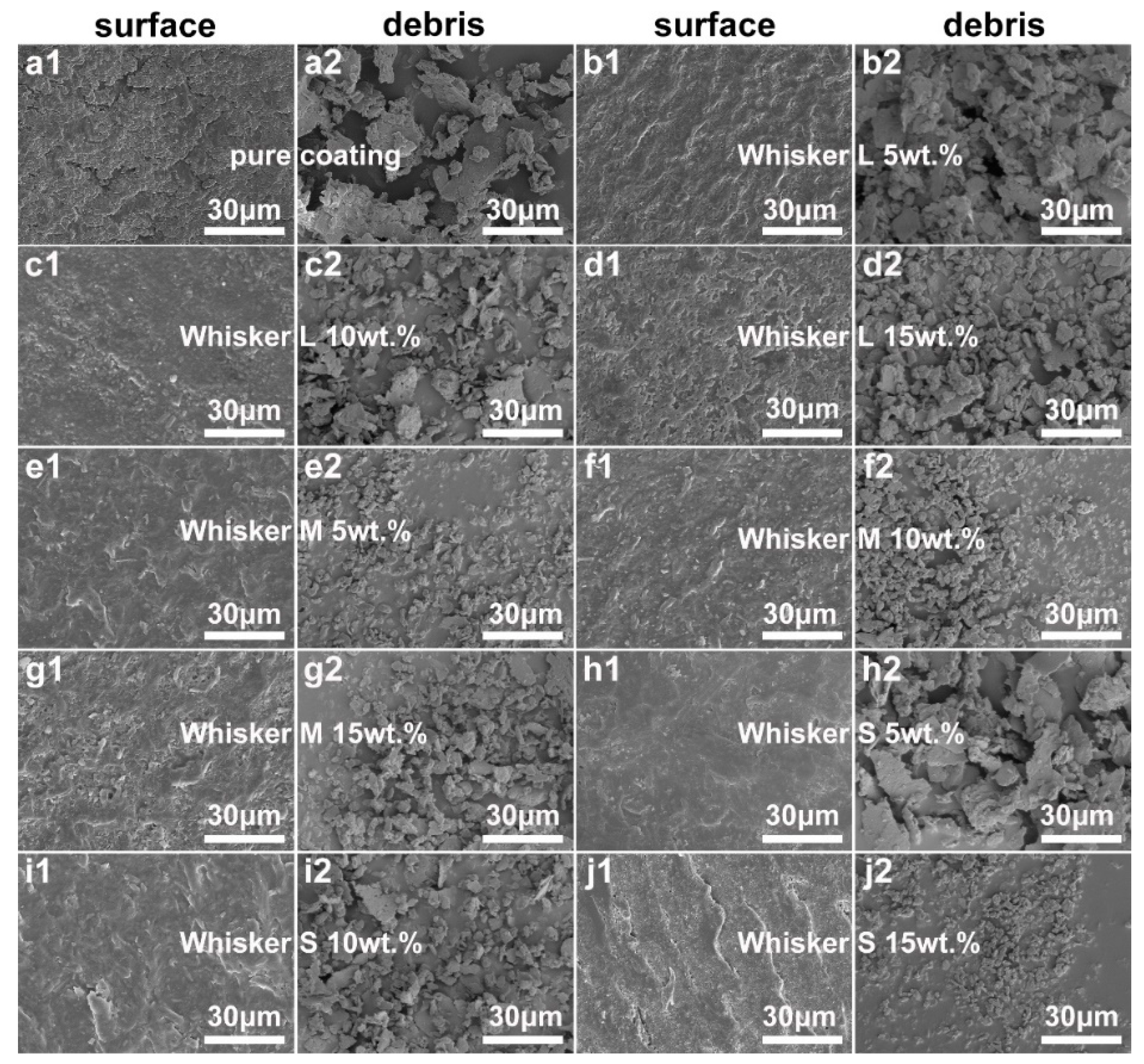 Coatings 09 00683 g007