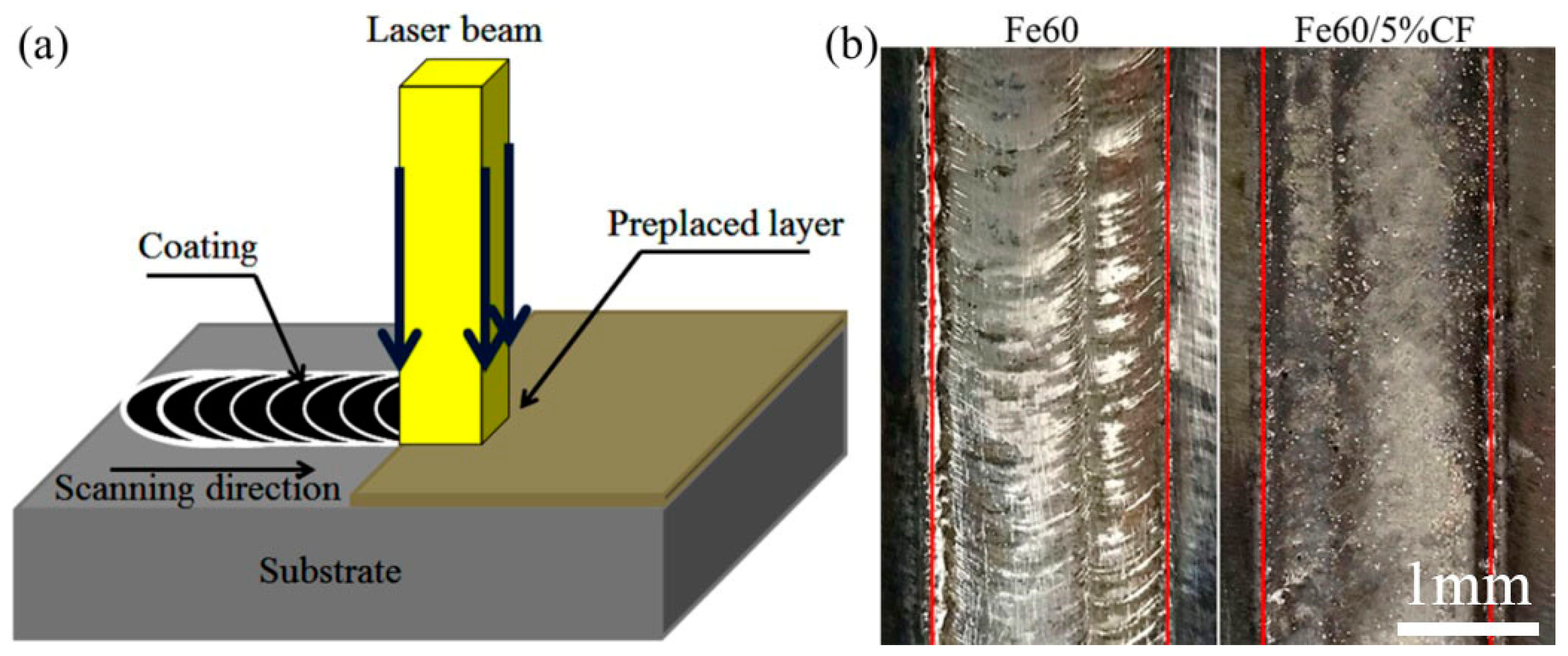 Coatings 09 00684 g002