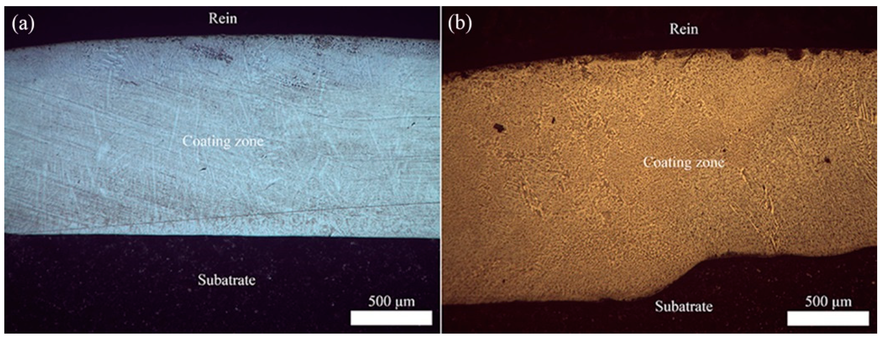 Coatings 09 00684 g003