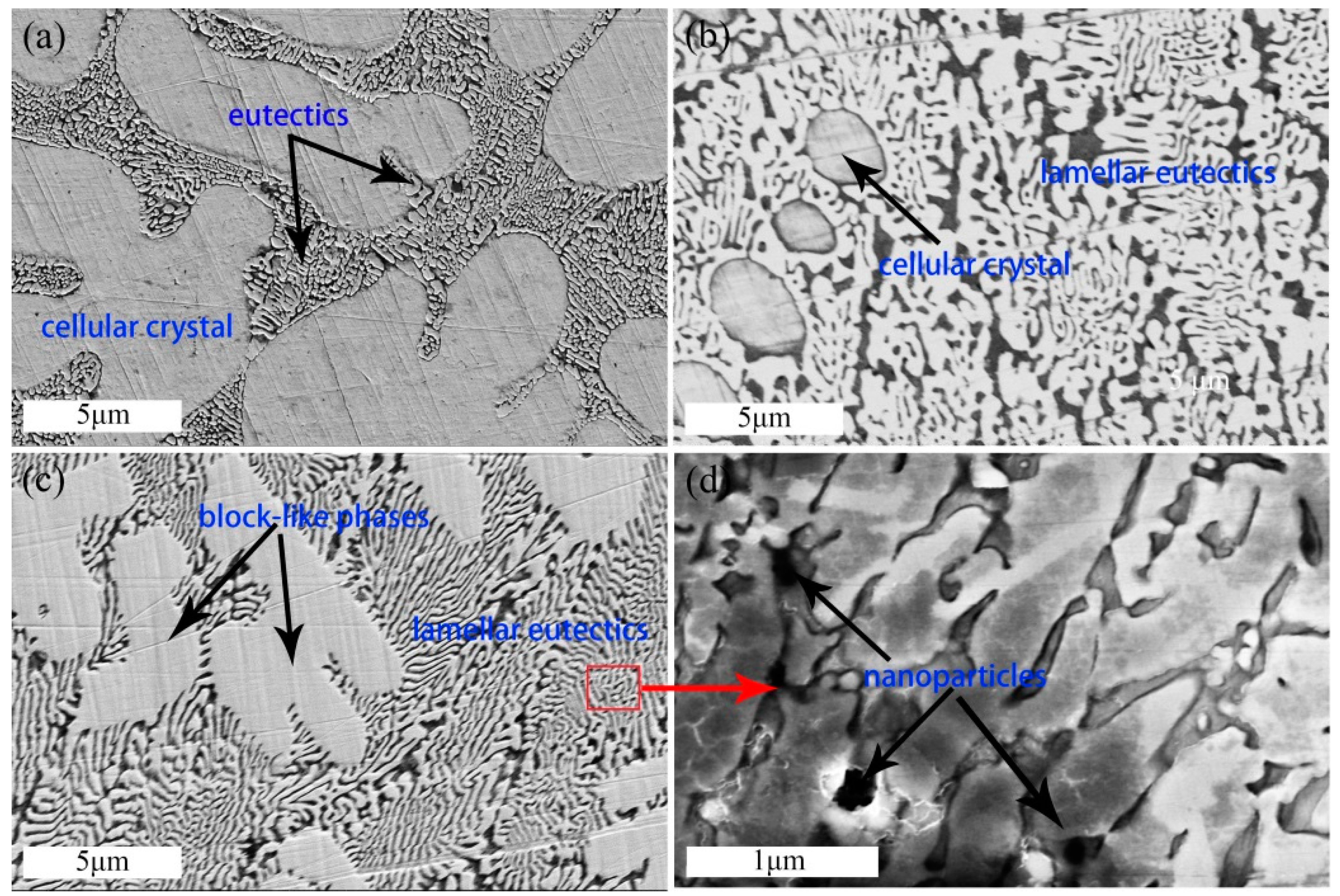 Coatings 09 00684 g006