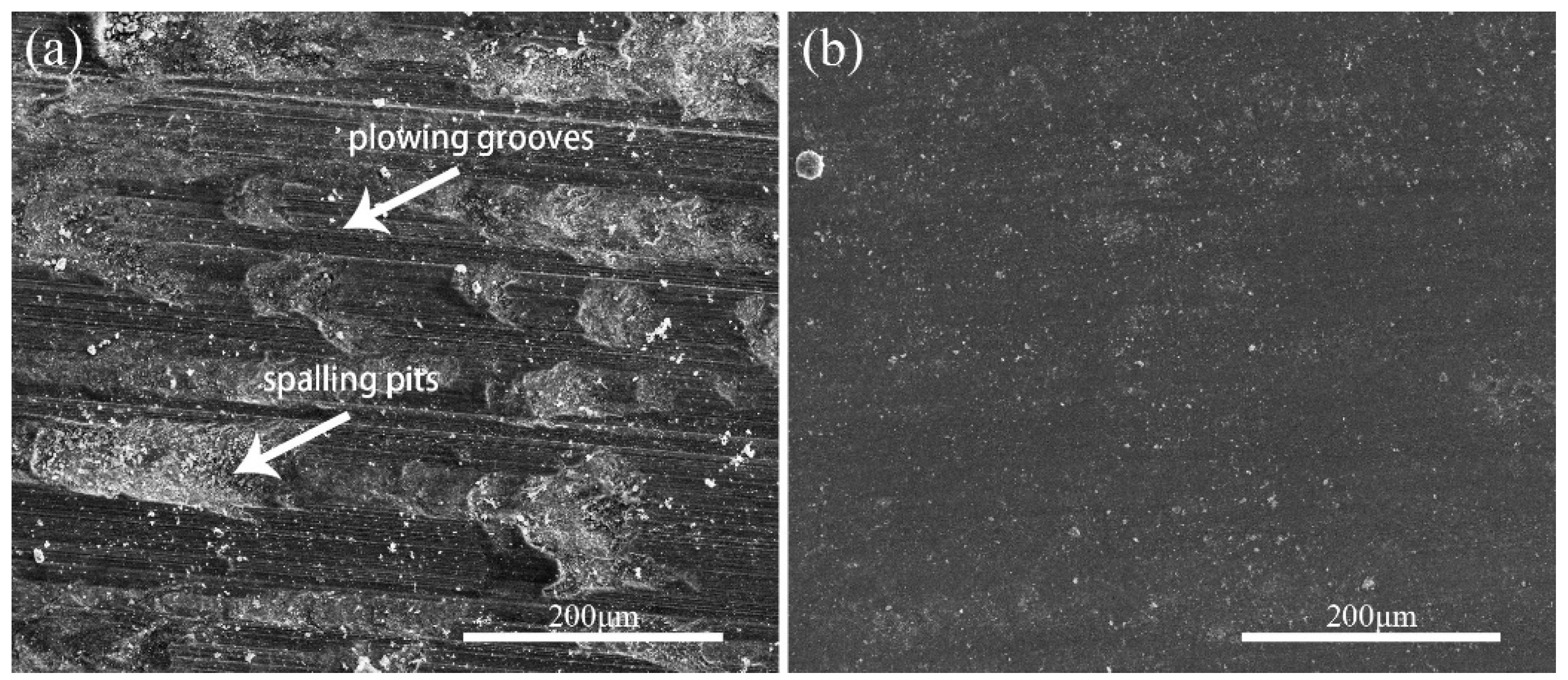 Coatings 09 00684 g014