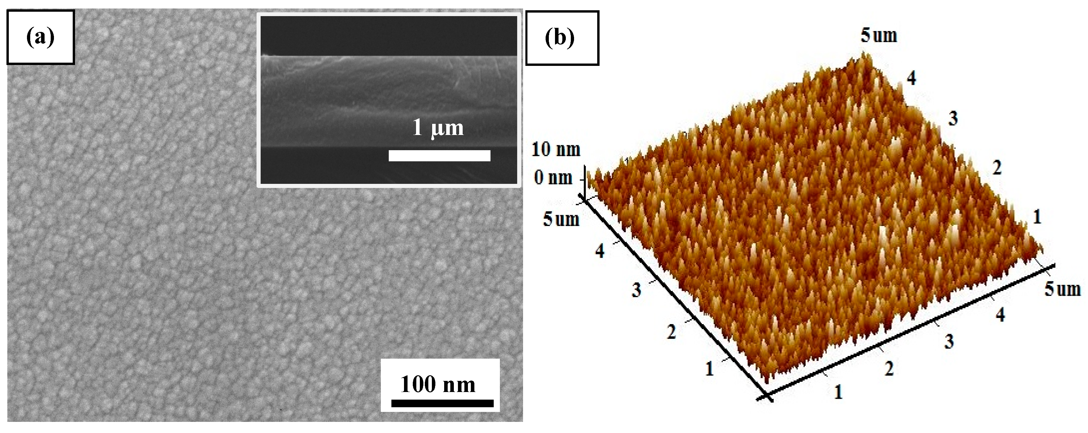 Coatings 09 00685 g002 550