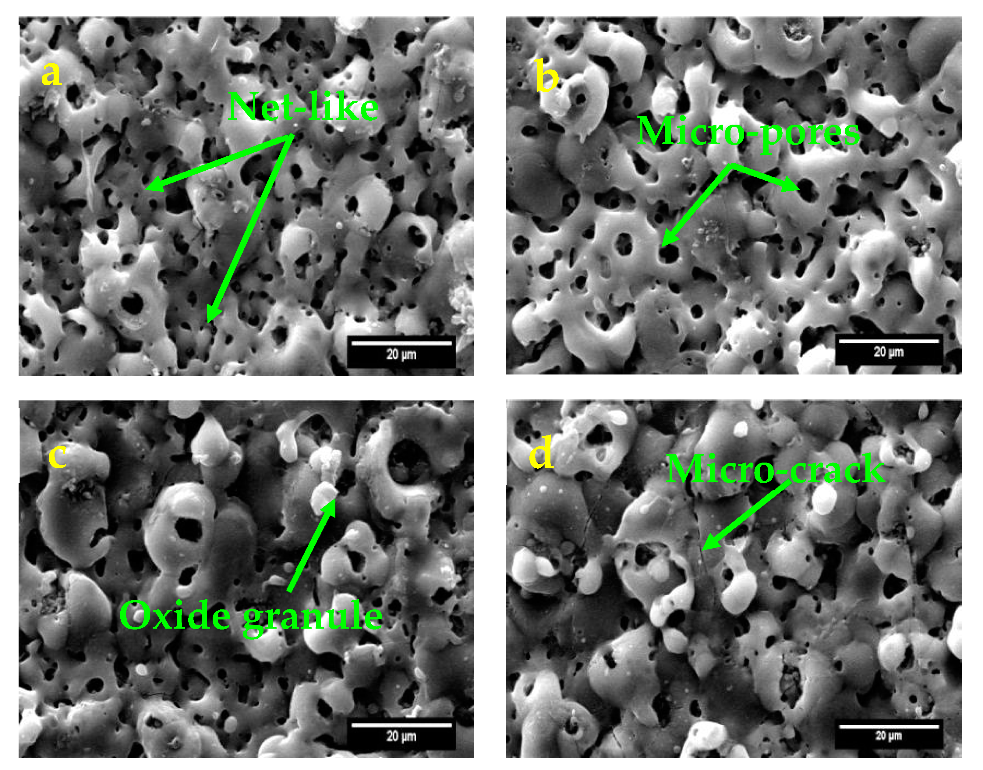 Coatings 09 00688 g003 Coatings 09 00688 g003