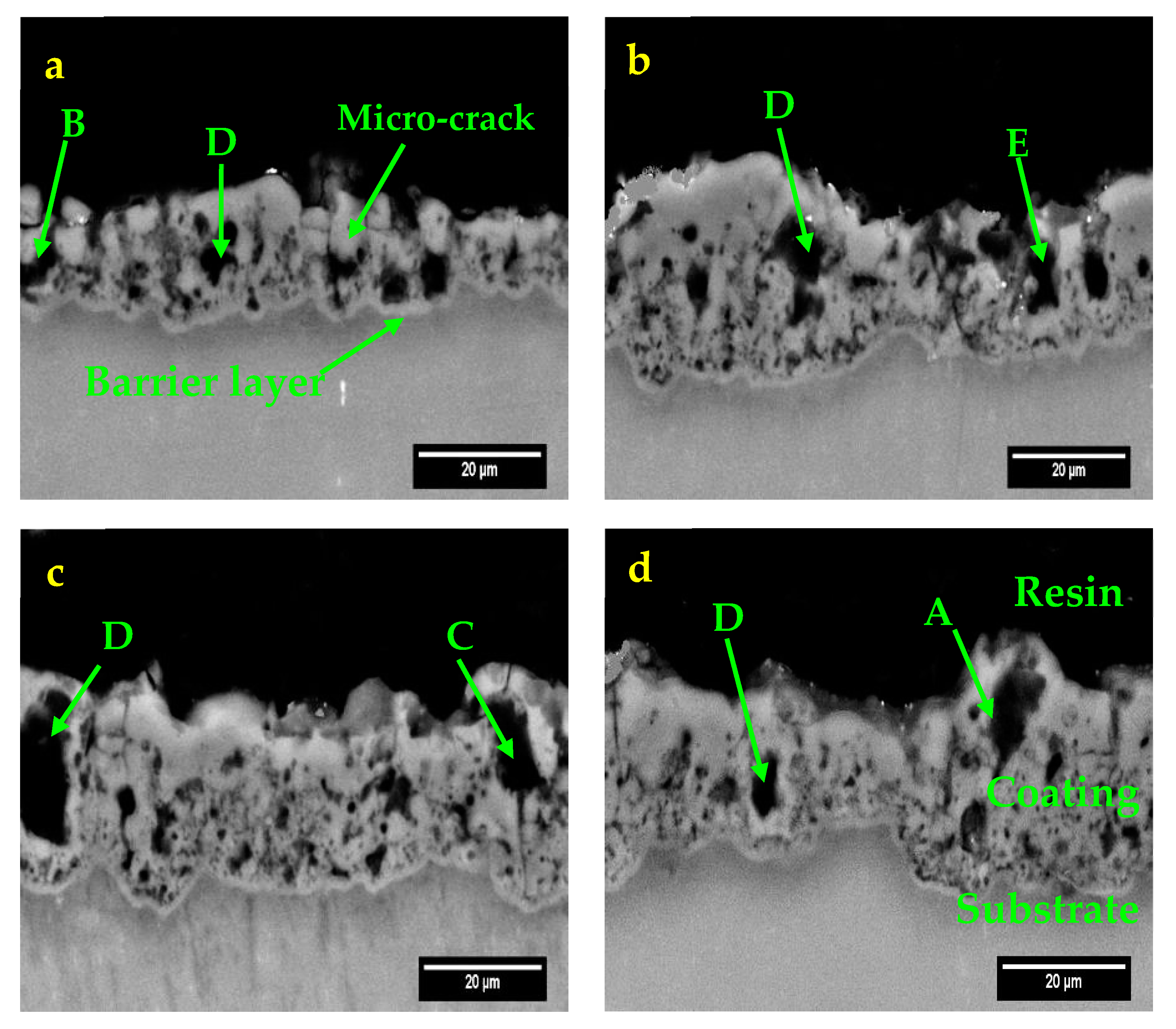 Coatings 09 00688 g004 Coatings 09 00688 g004