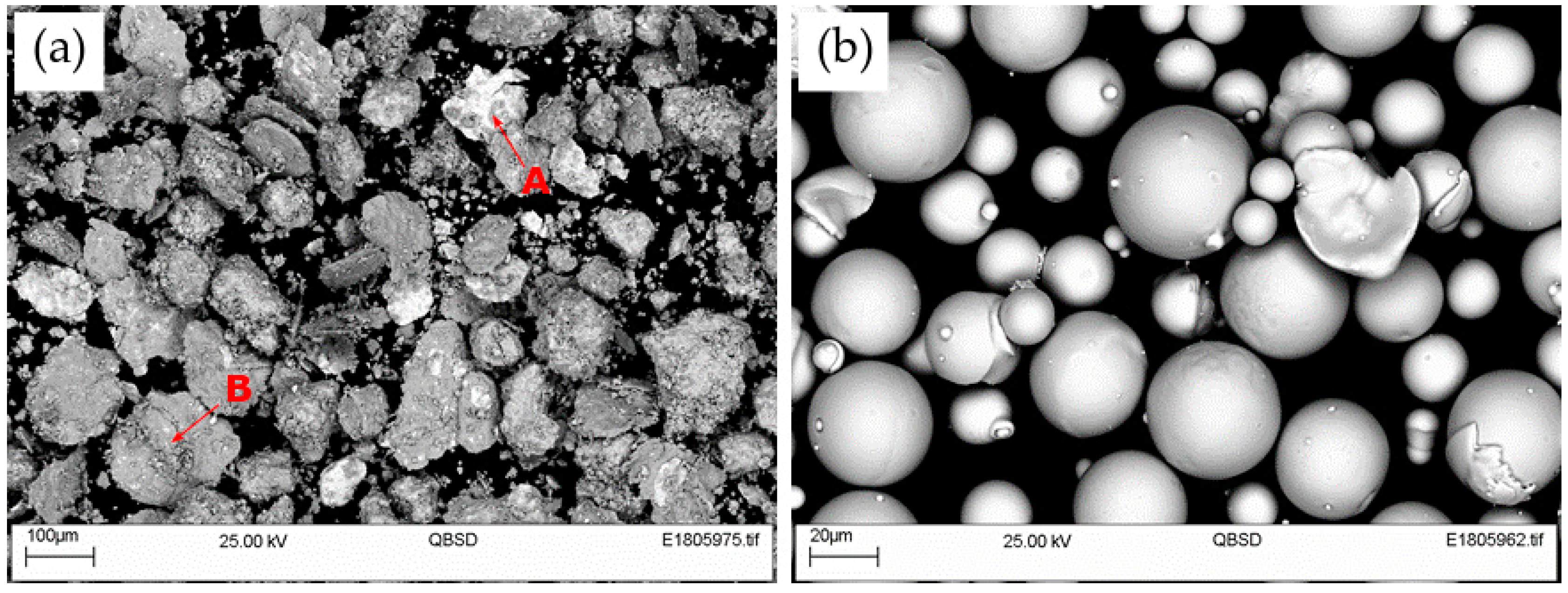 Coatings 09 00695 g001 550