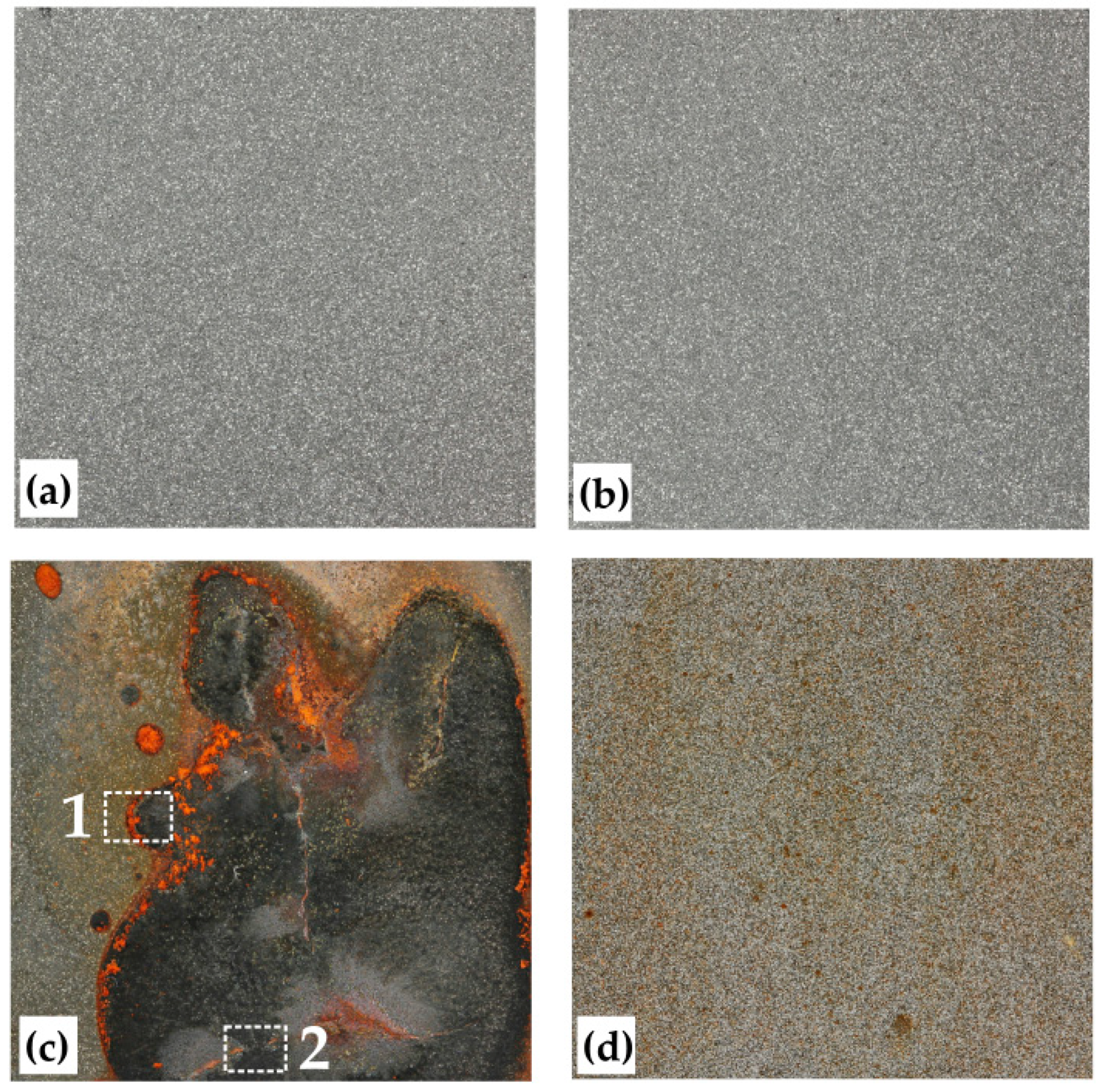 Coatings 09 00695 g005 550