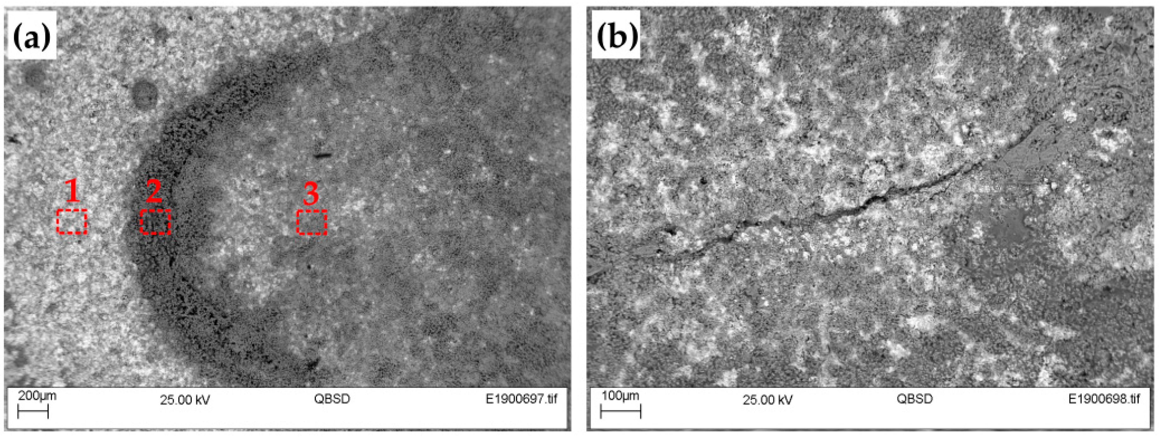 Coatings 09 00695 g006 550