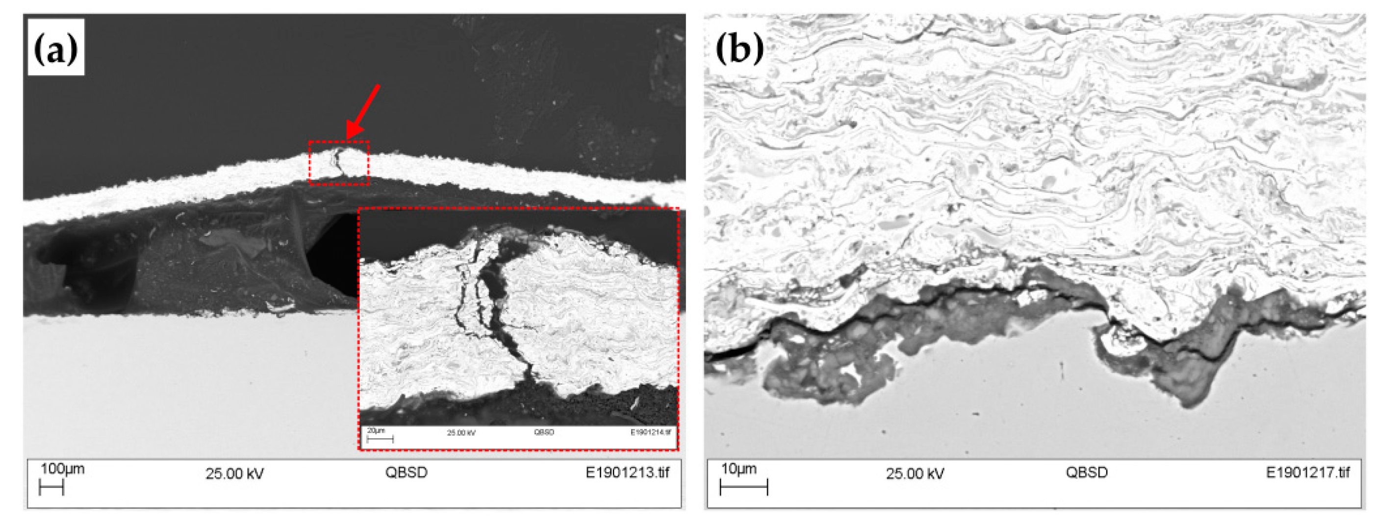 Coatings 09 00695 g007 550