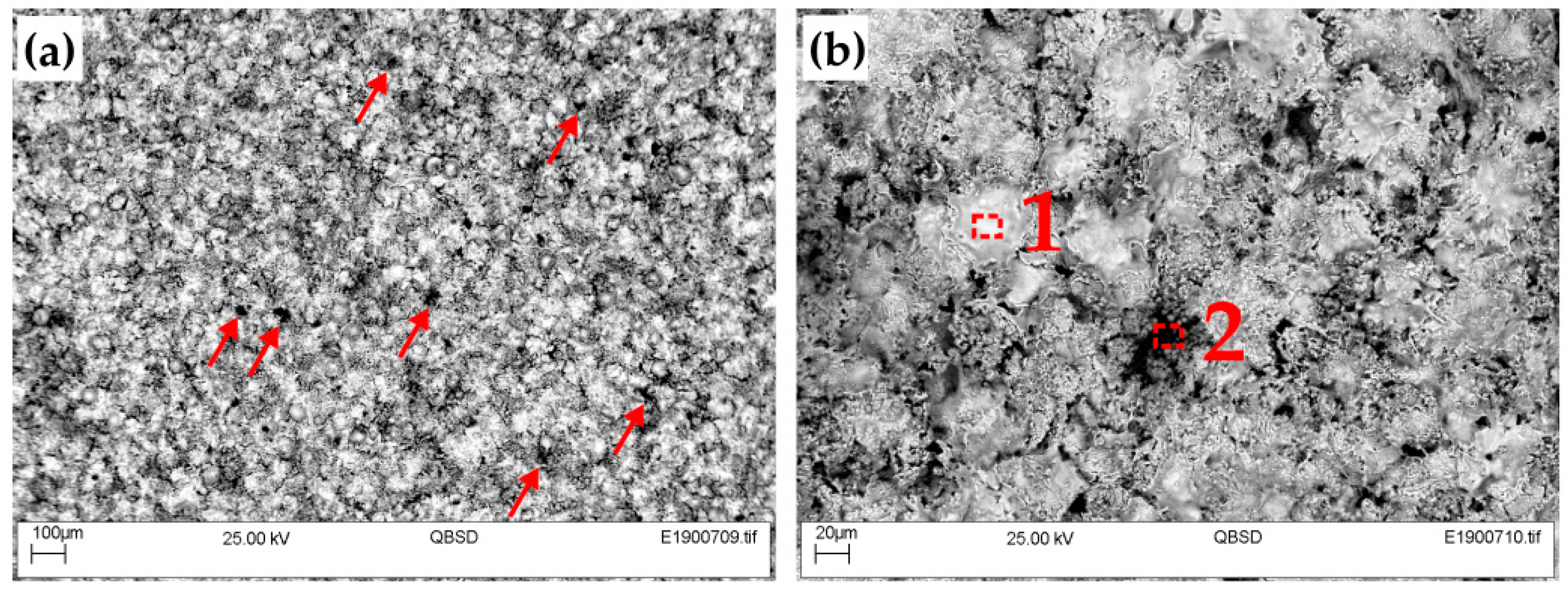 Coatings 09 00695 g008 550