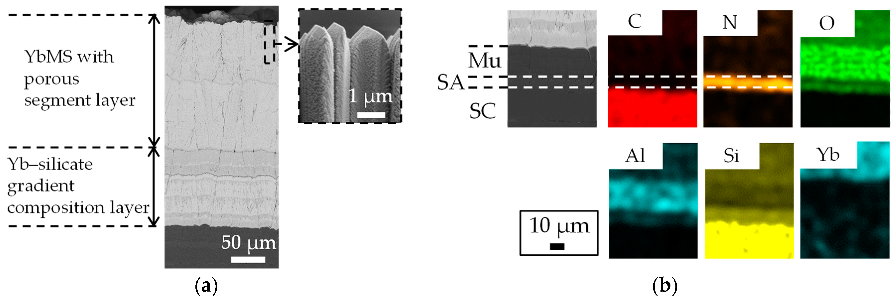 Coatings 09 00697 g006 550