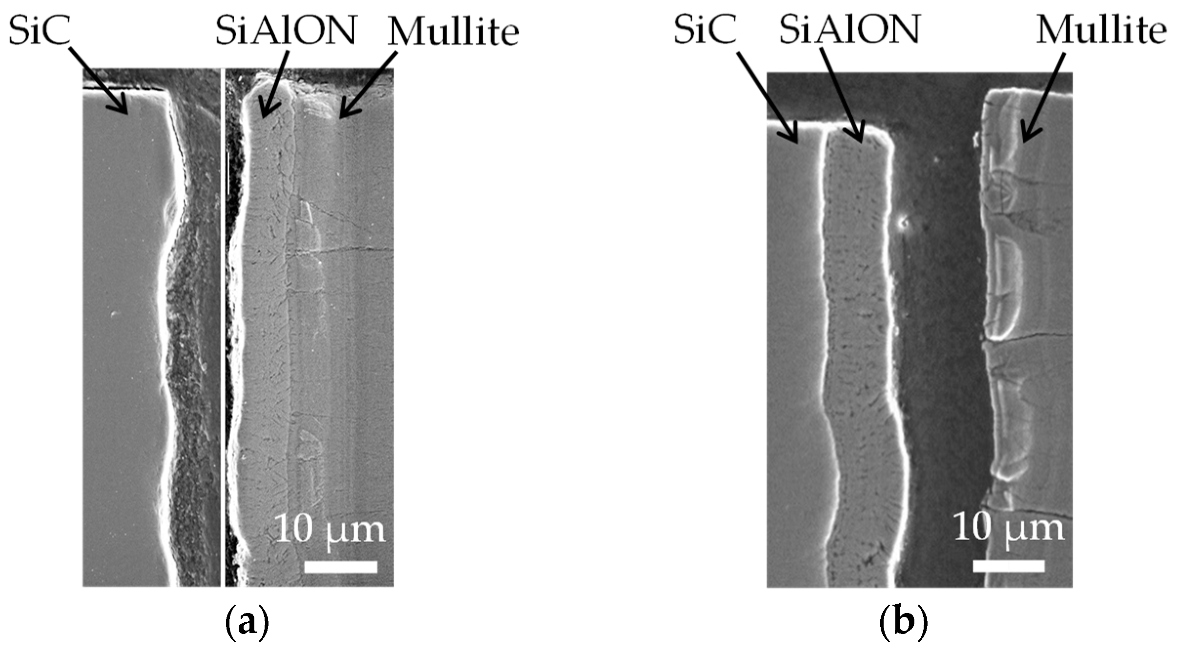 Coatings 09 00697 g010 550