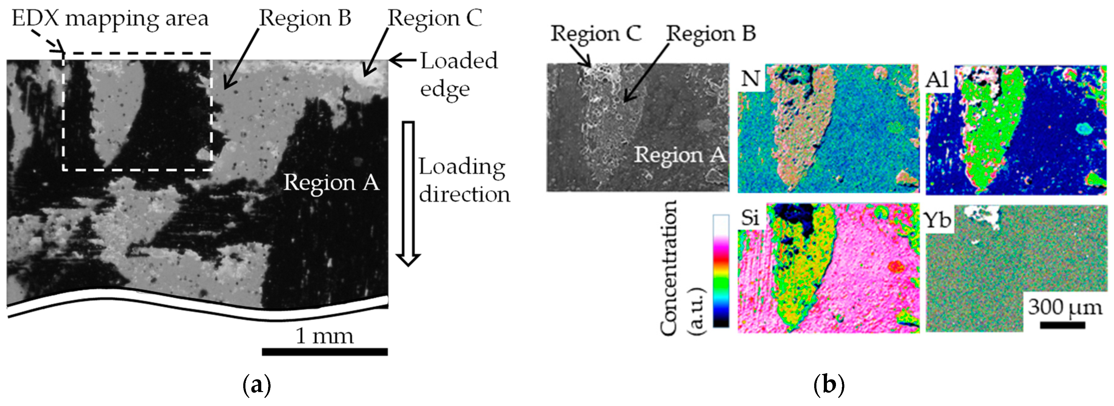 Coatings 09 00697 g011 550