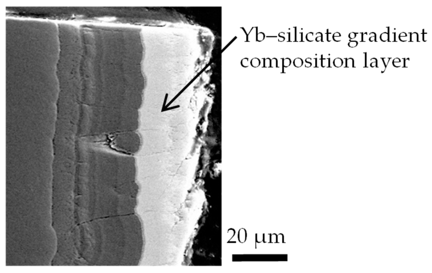 Coatings 09 00697 g012 550