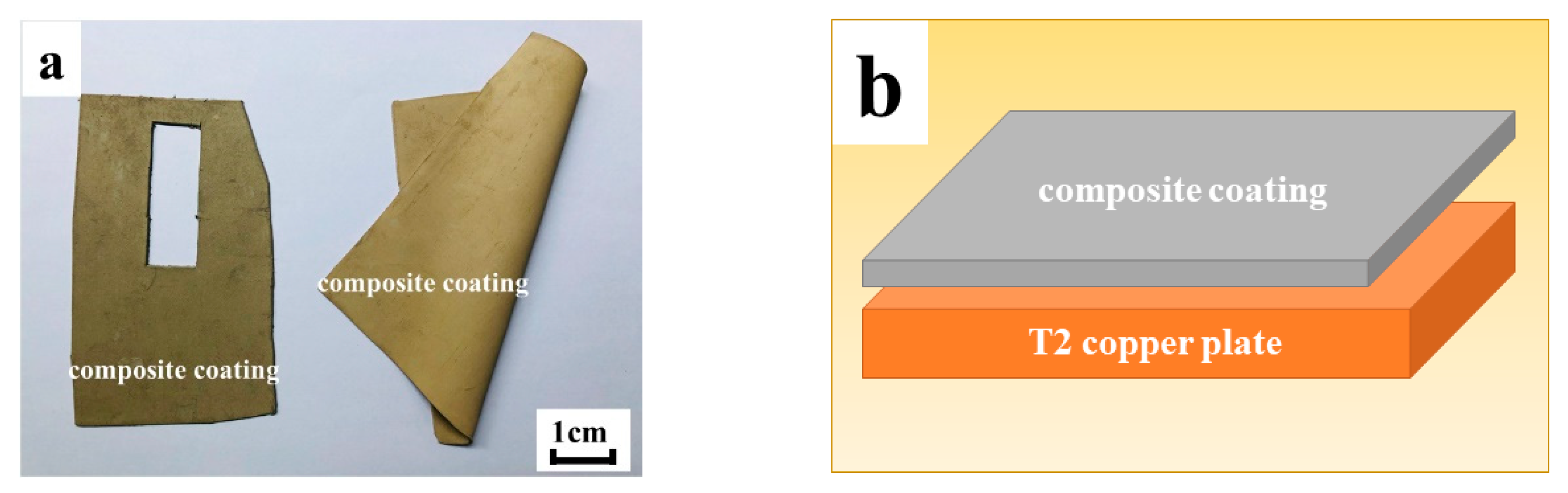 Coatings 09 00703 g002