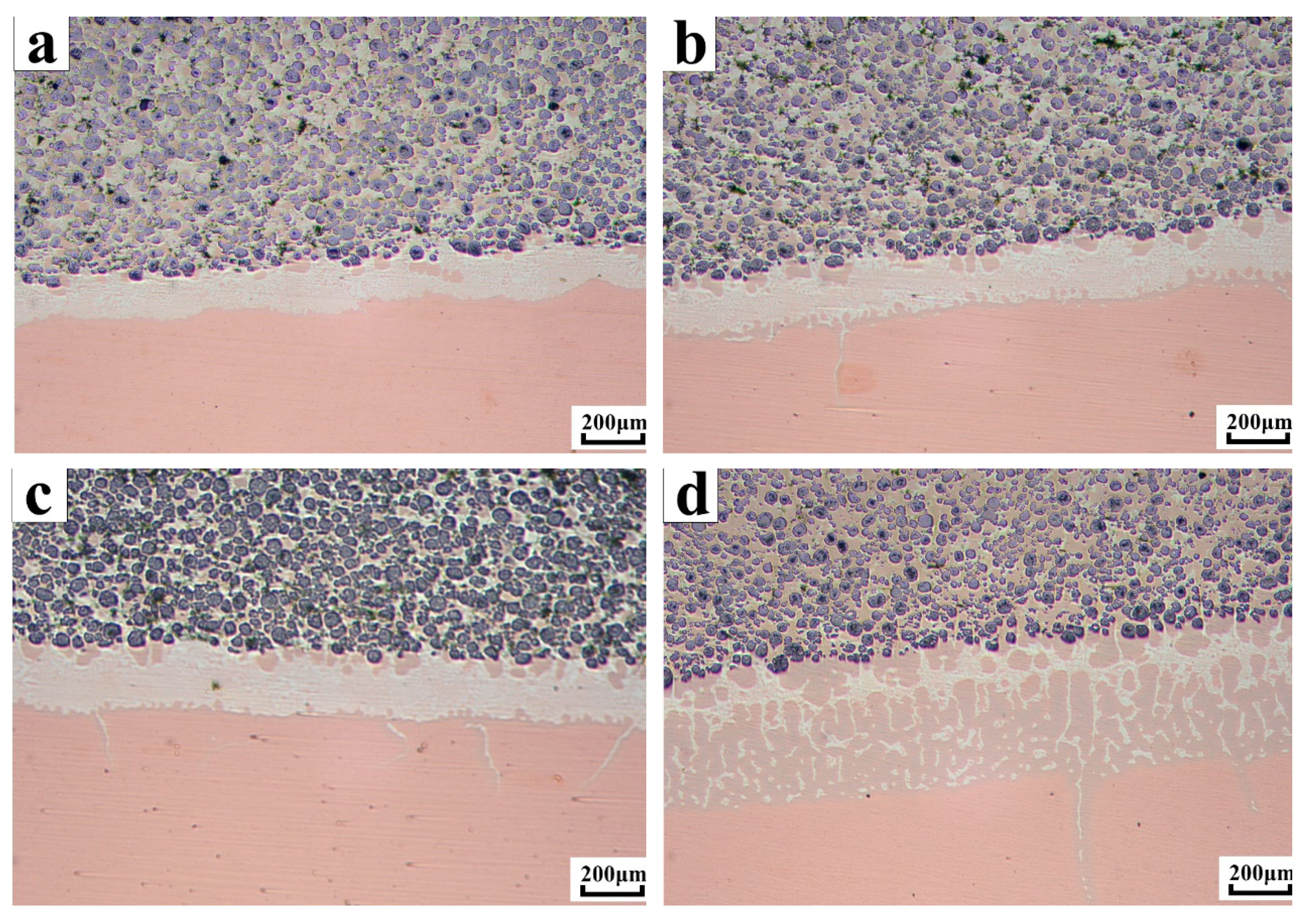 Coatings 09 00703 g004