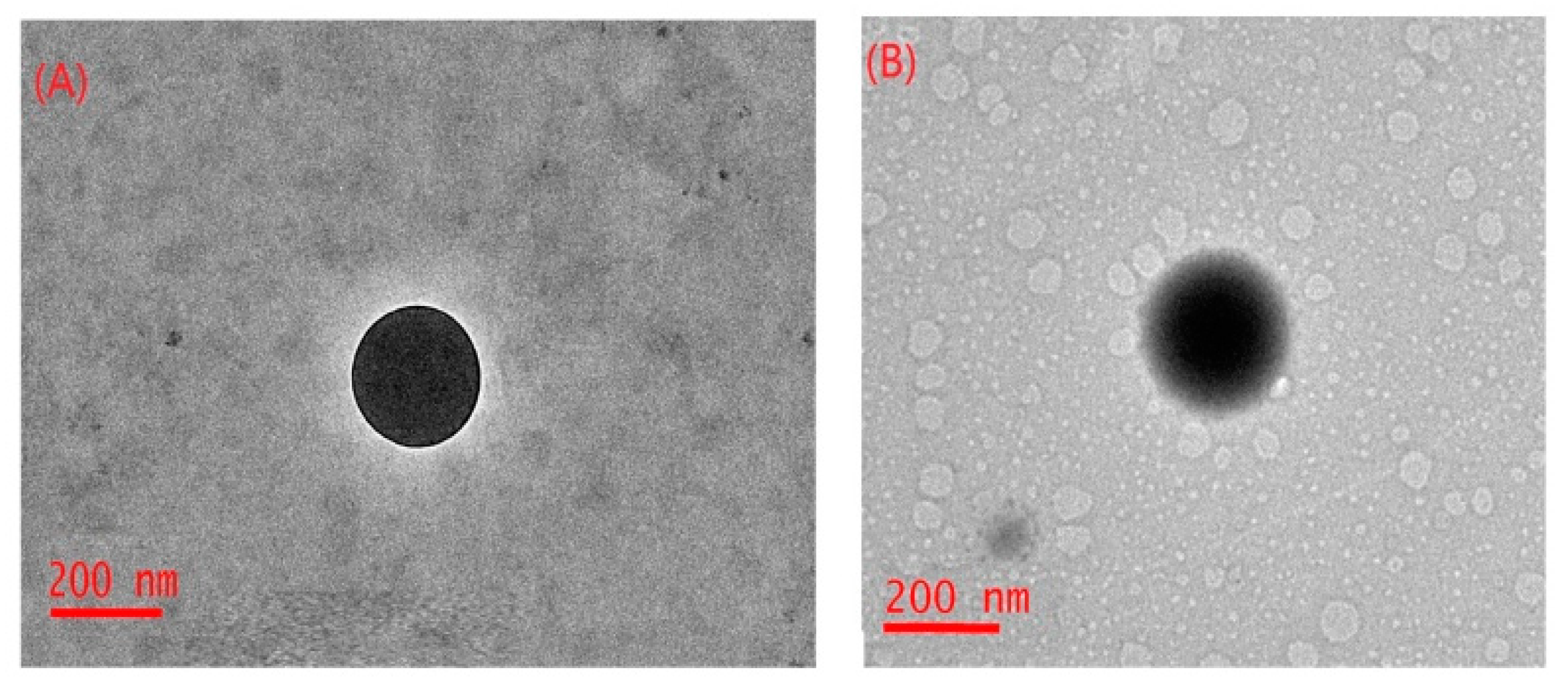 Coatings 09 00704 g002