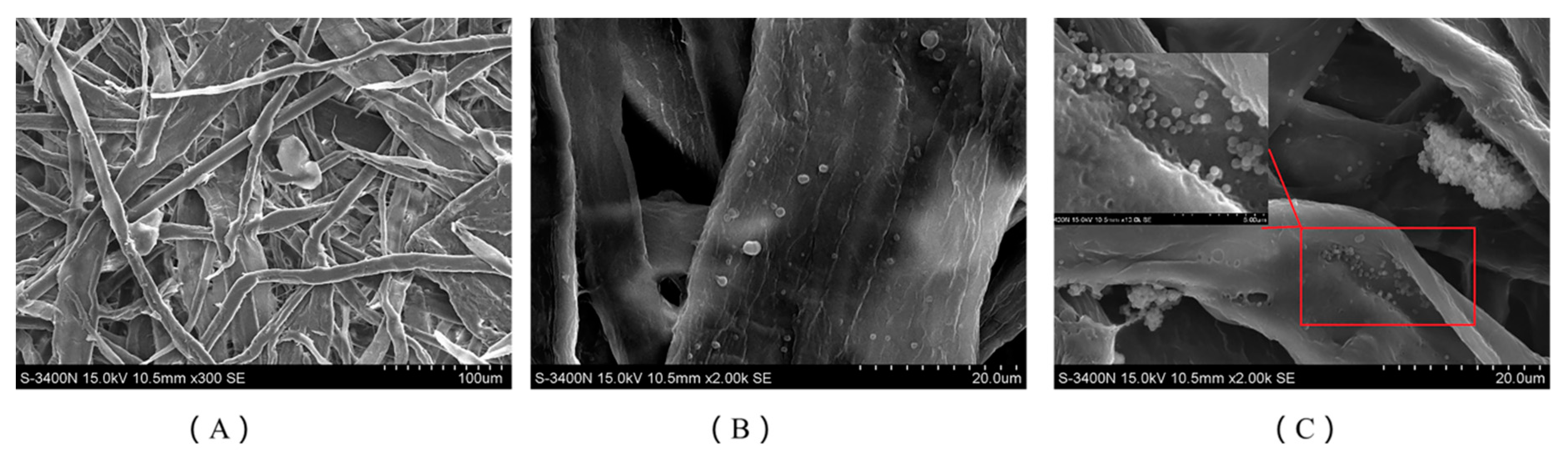 Coatings 09 00704 g006