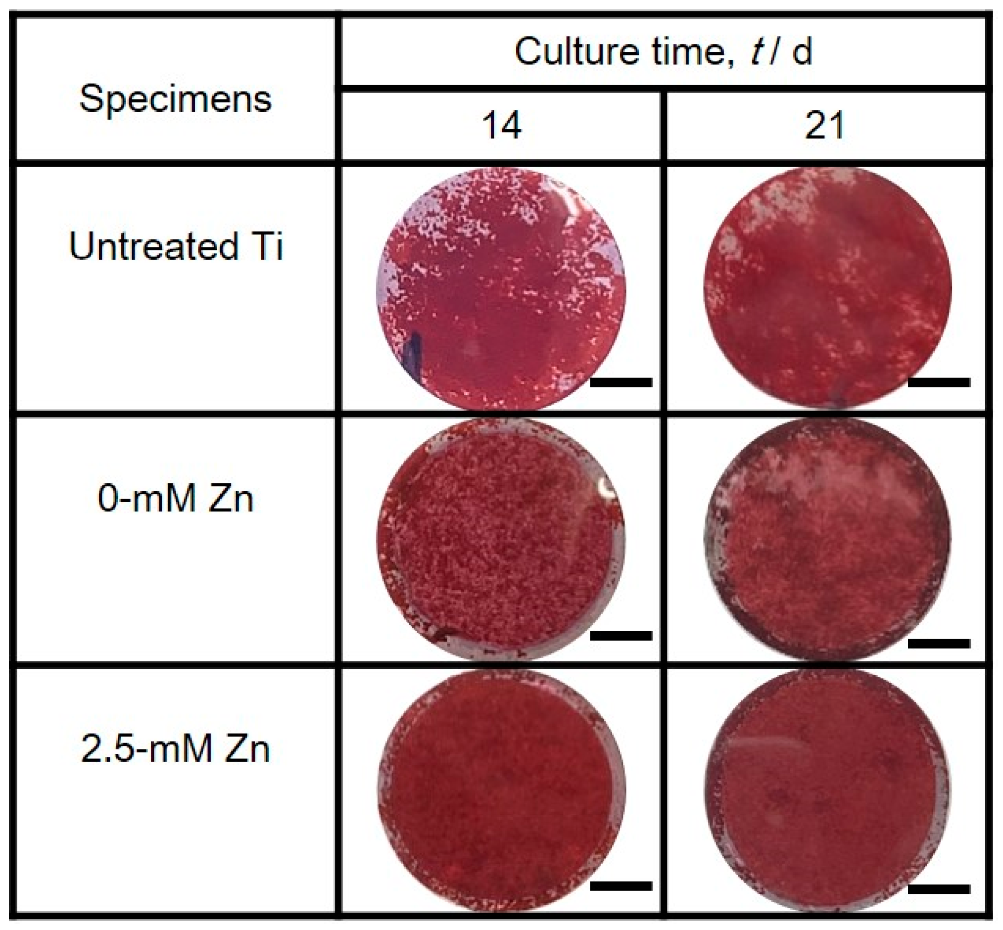 Coatings 09 00705 g009 Coatings 09 00705 g009