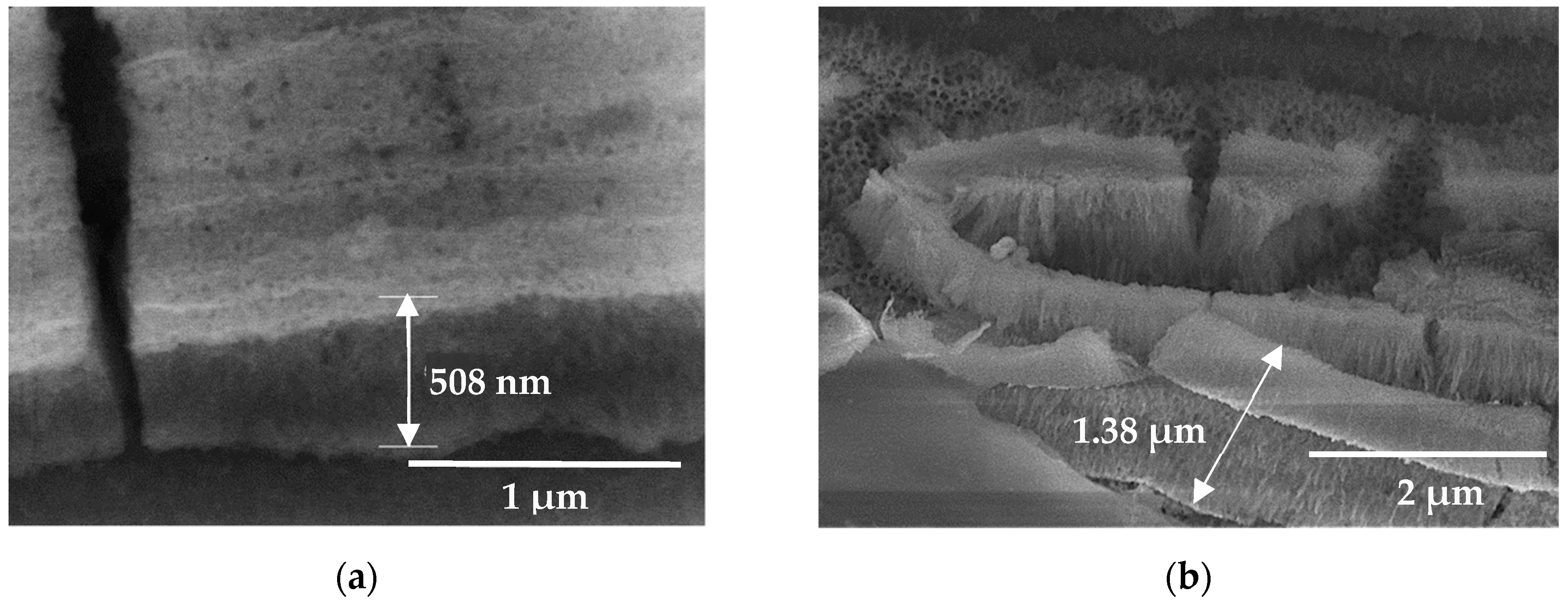 Coatings 09 00706 g004 Coatings 09 00706 g004