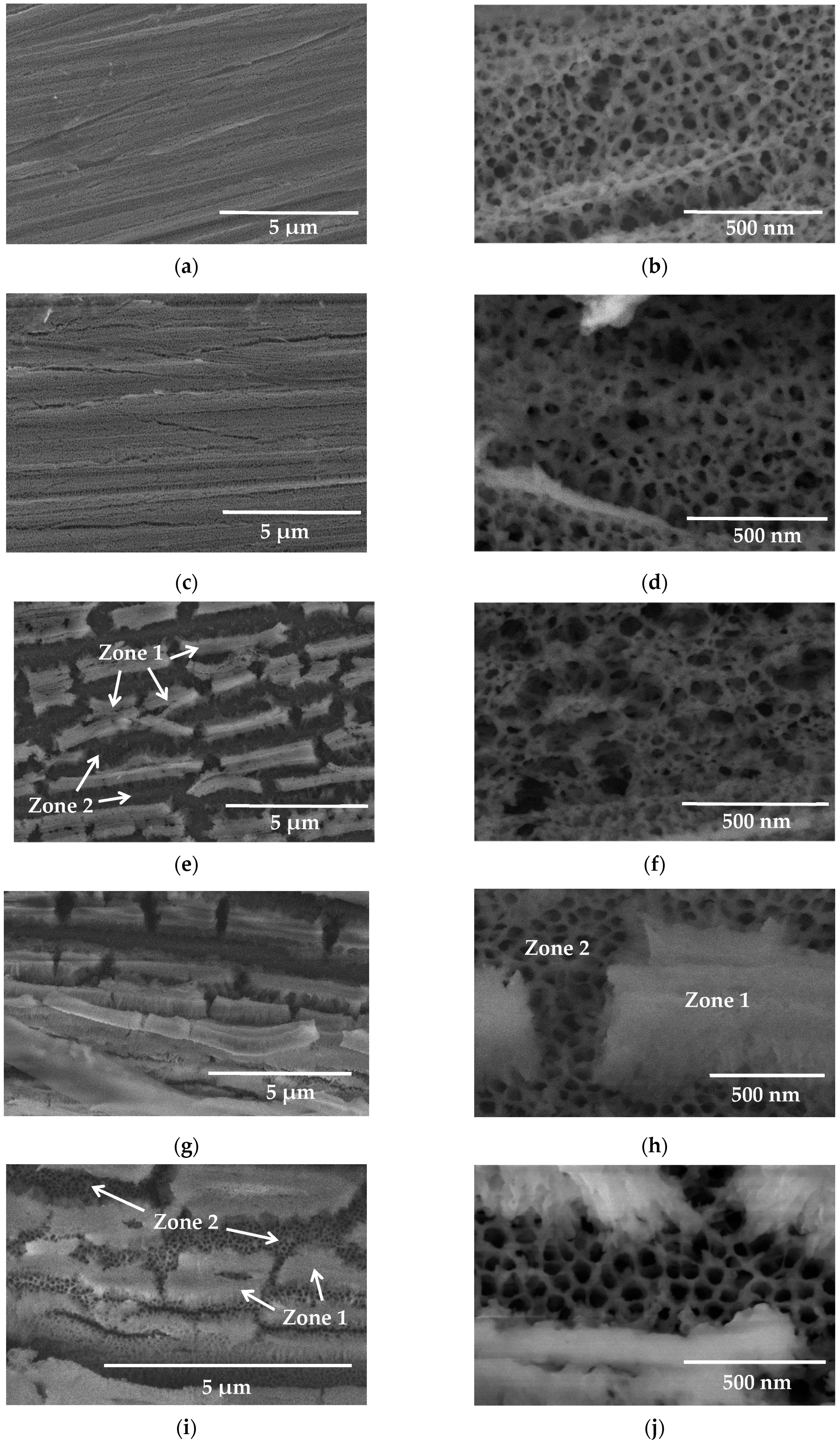 Coatings 09 00706 g005 Coatings 09 00706 g005