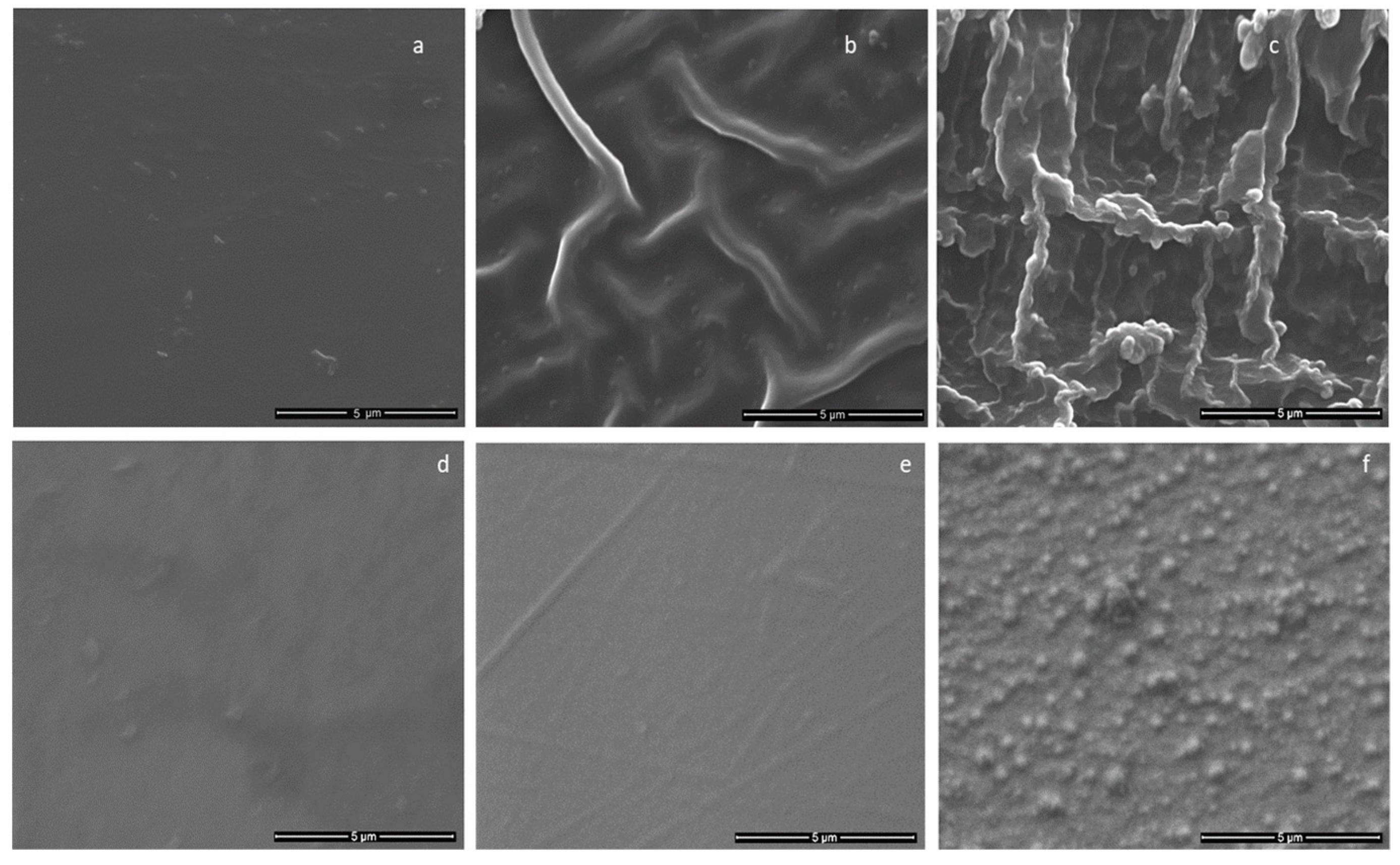 Coatings 09 00709 g007 Coatings 09 00709 g007