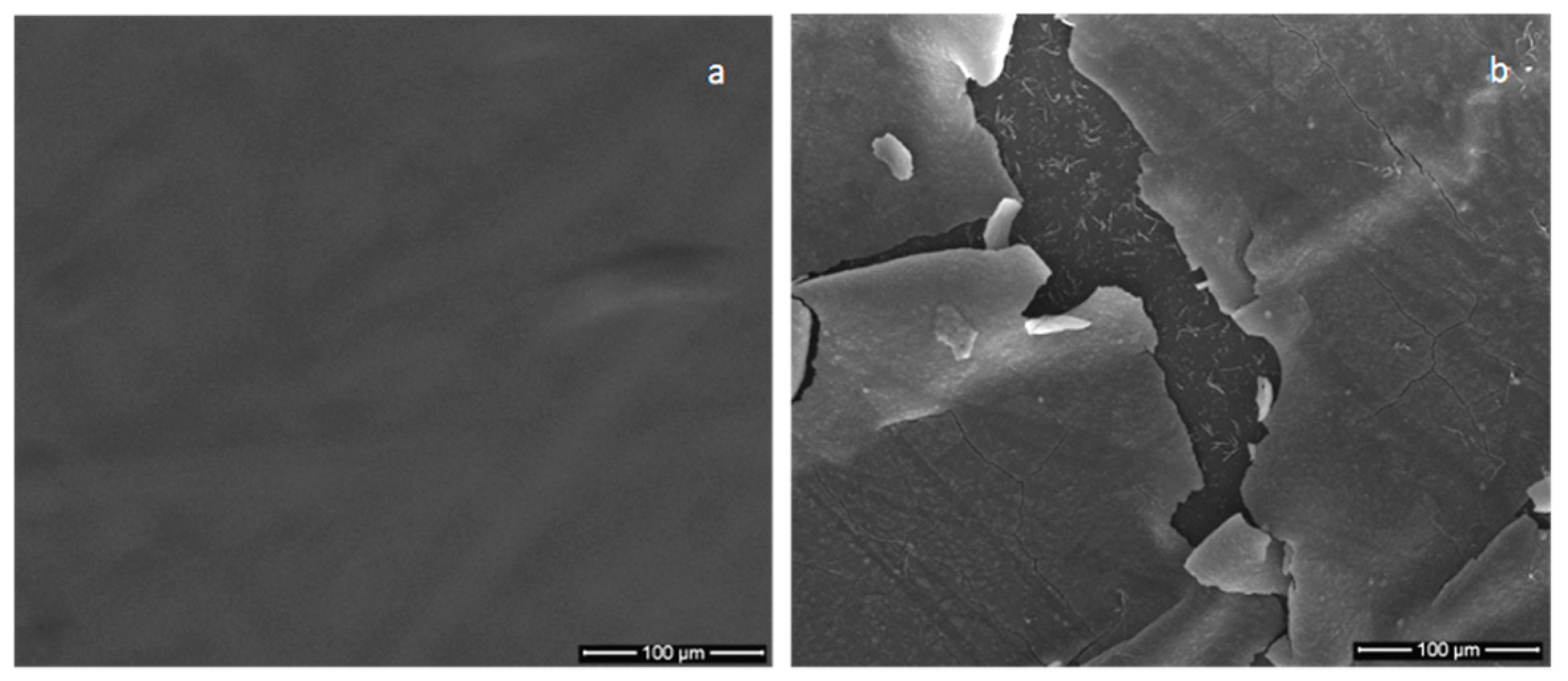 Coatings 09 00709 g008 Coatings 09 00709 g008