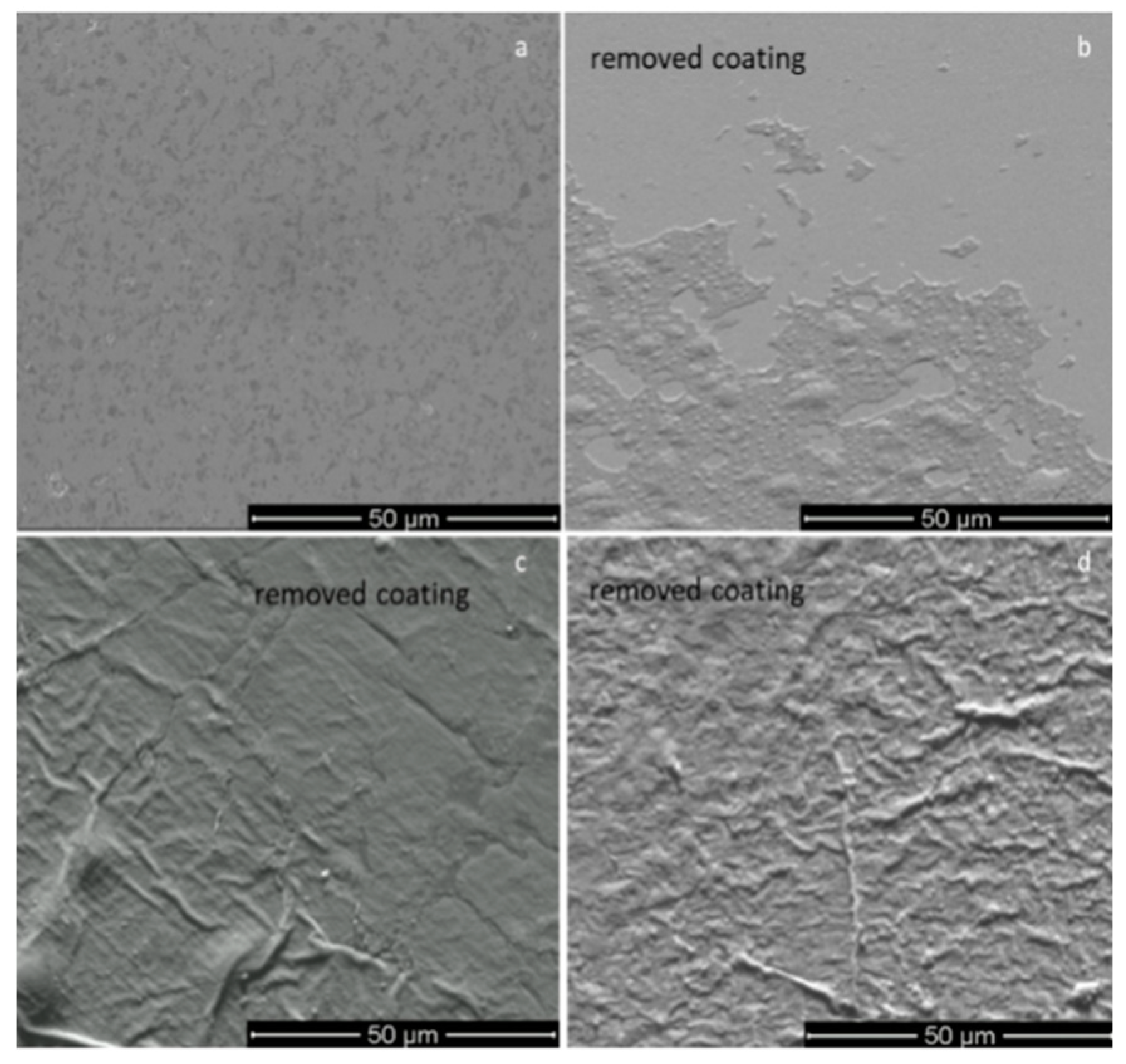 Coatings 09 00709 g010 Coatings 09 00709 g010