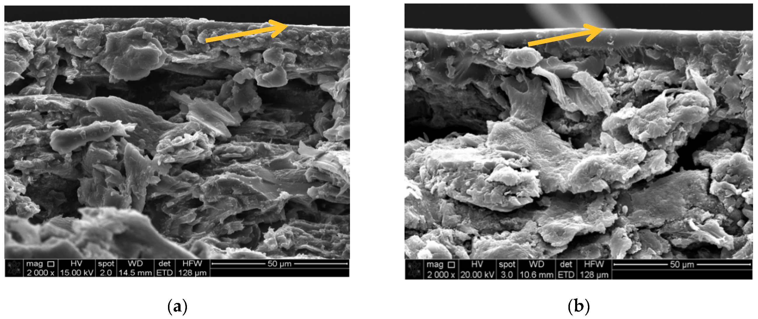 Coatings 09 00711 g009