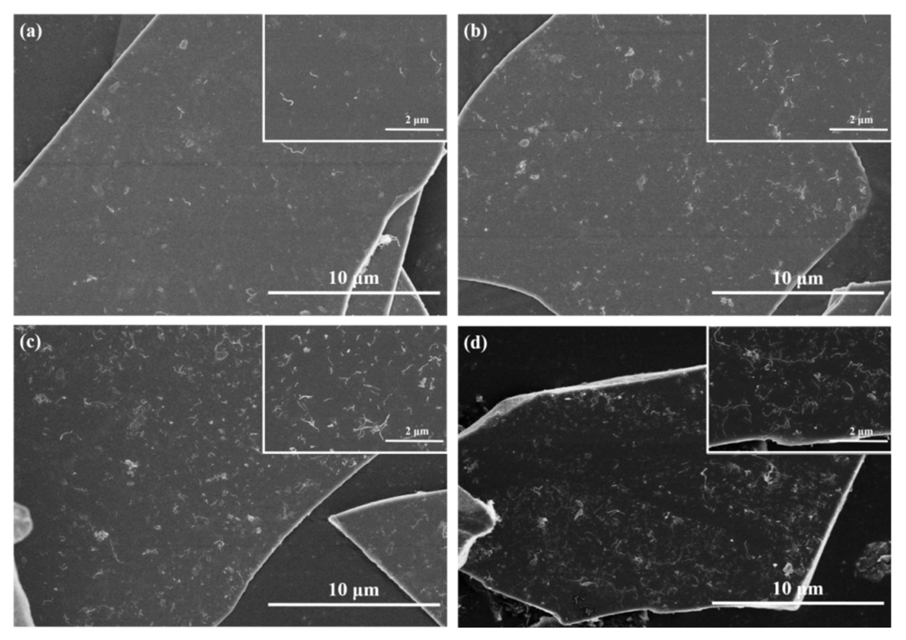 Coatings 09 00714 g002 Coatings 09 00714 g002