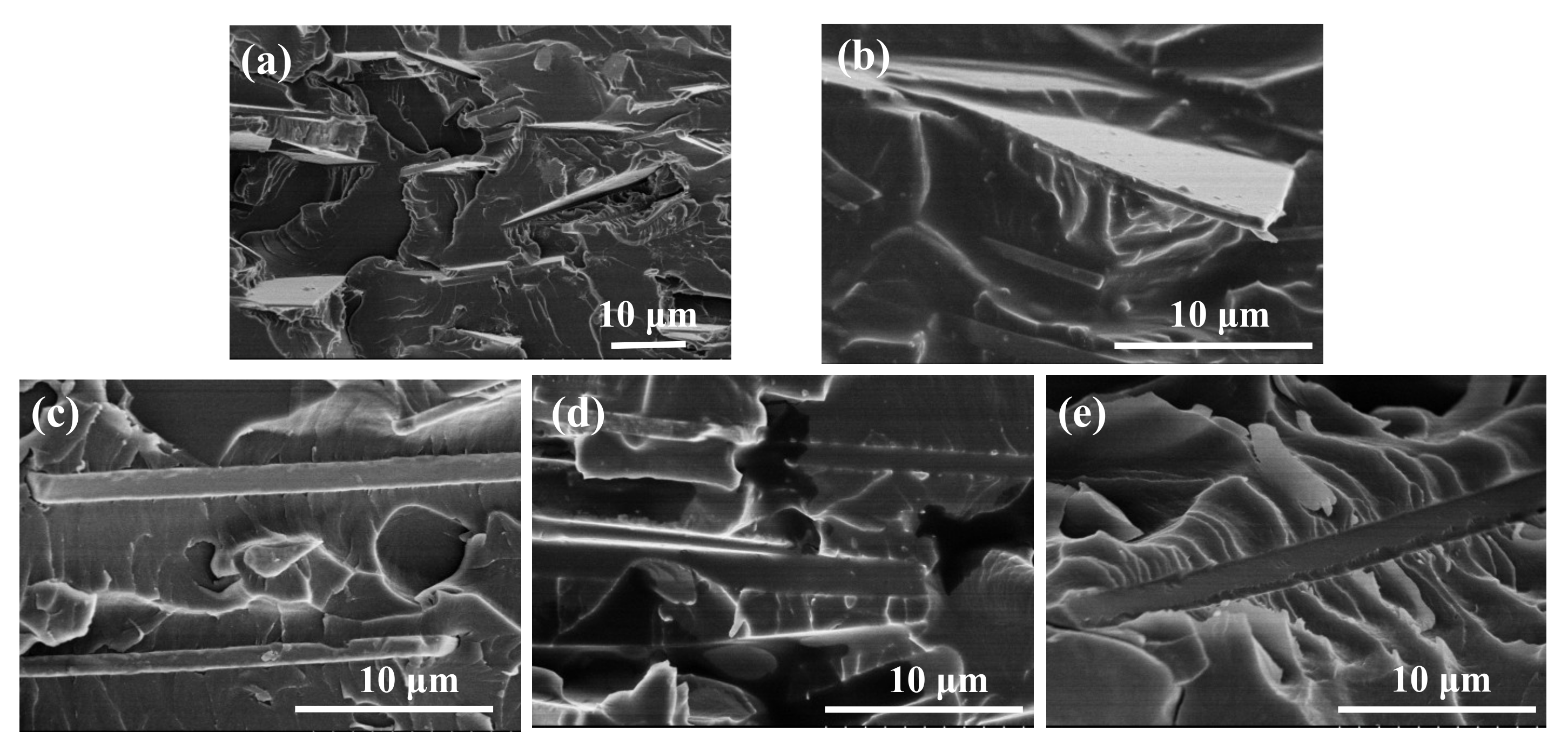 Coatings 09 00714 g003 Coatings 09 00714 g003